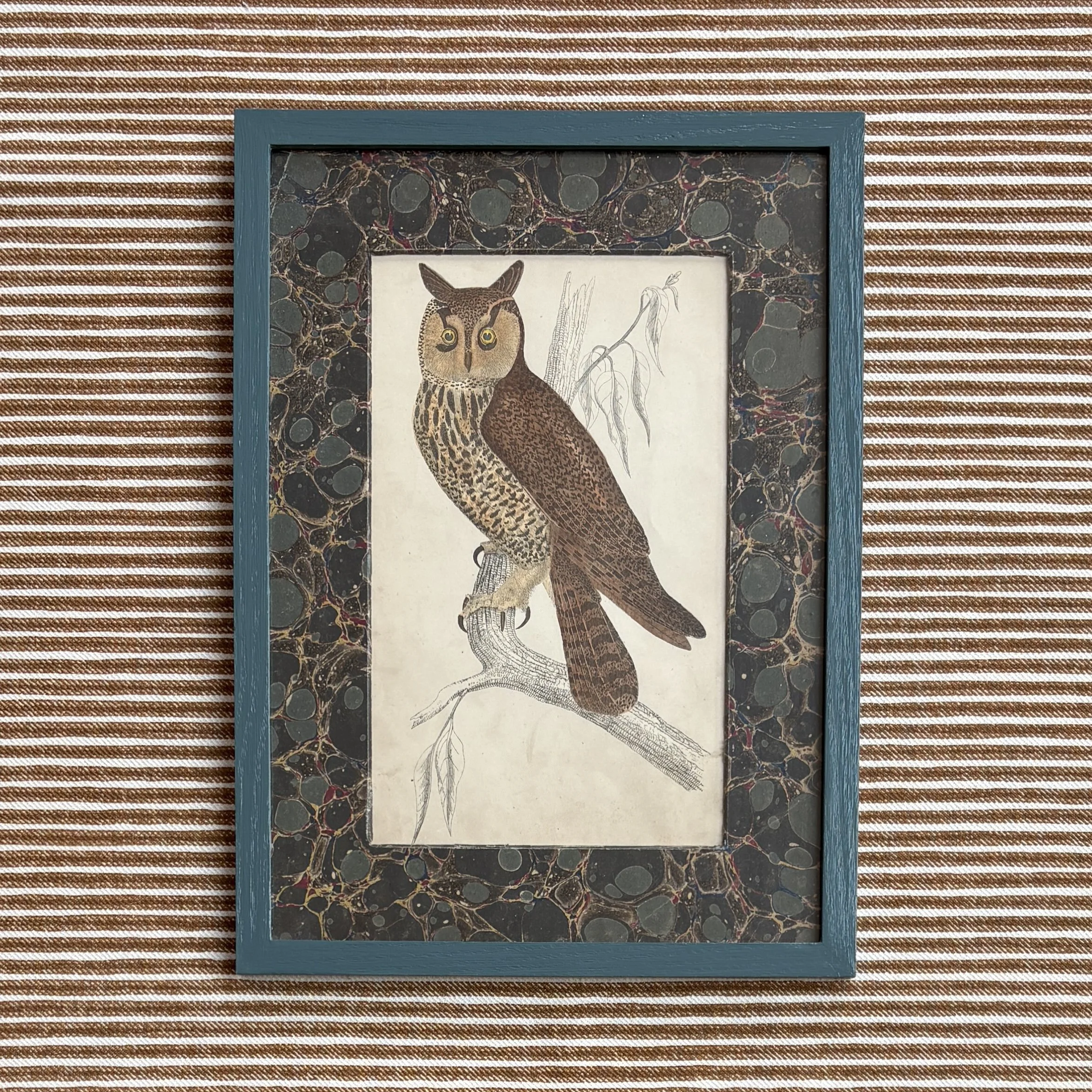 Antique Engraving of an Owl