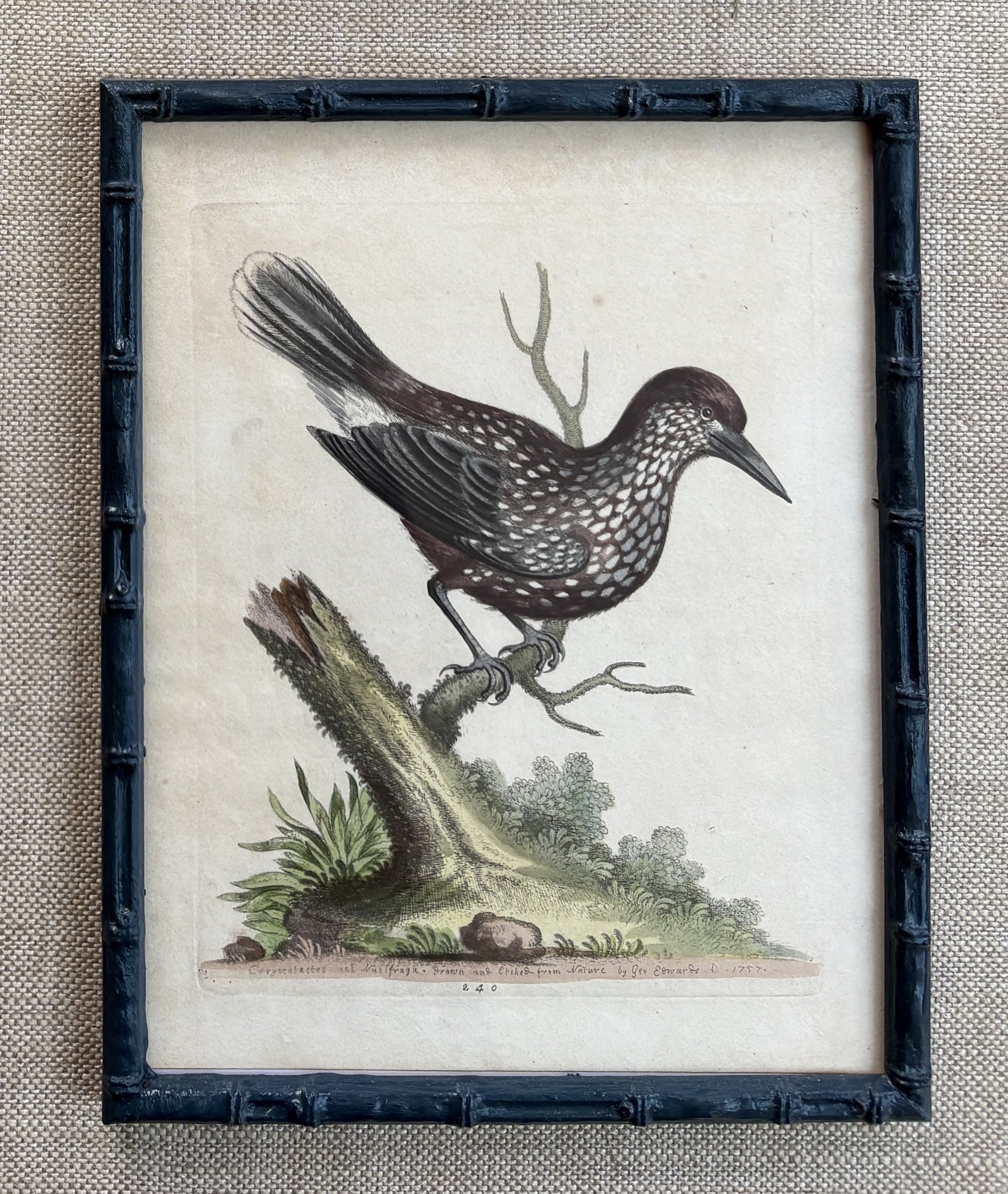 IMG_6281 (1).JPG (Copy)