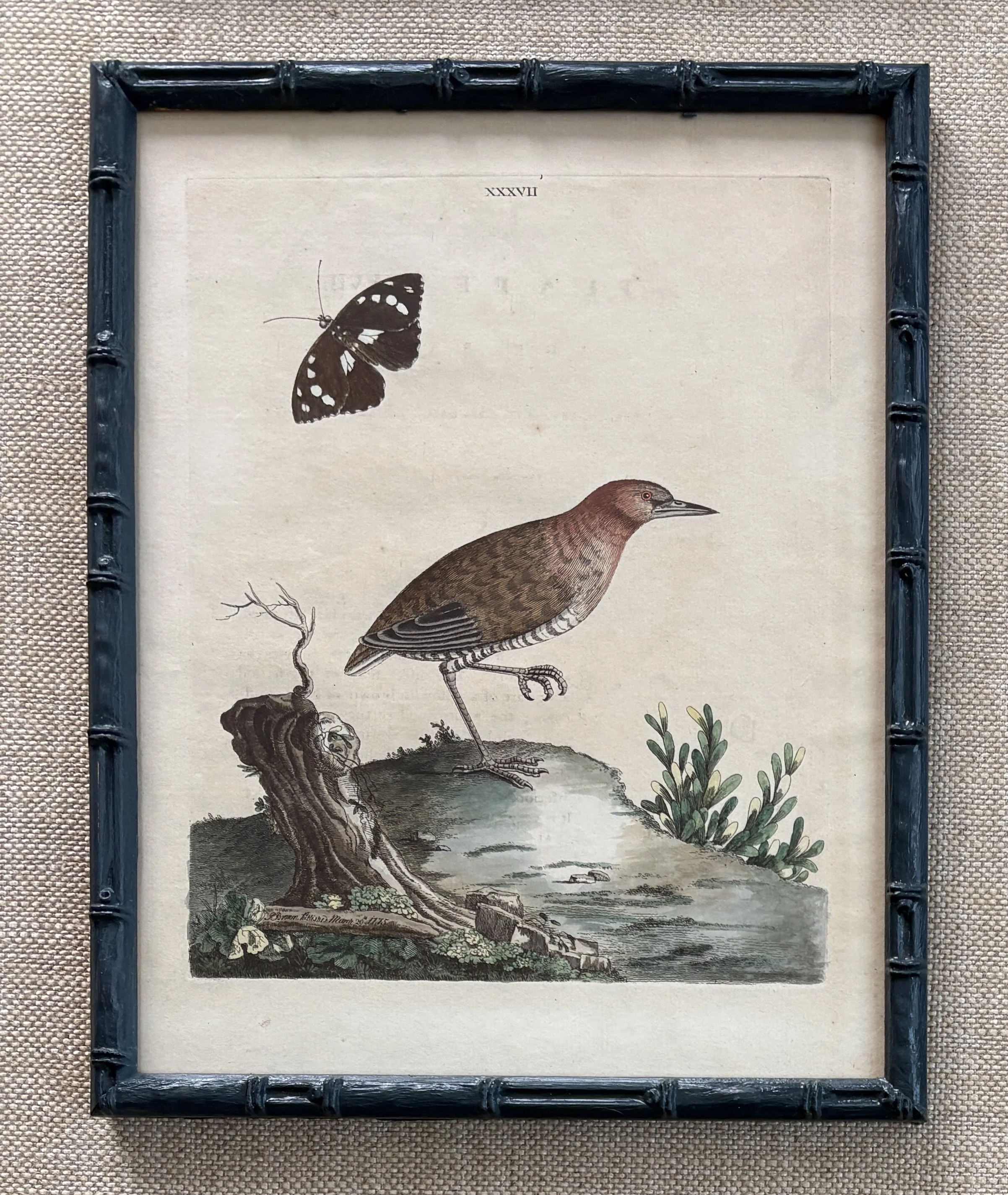 IMG_6280 (1).JPG (Copy)