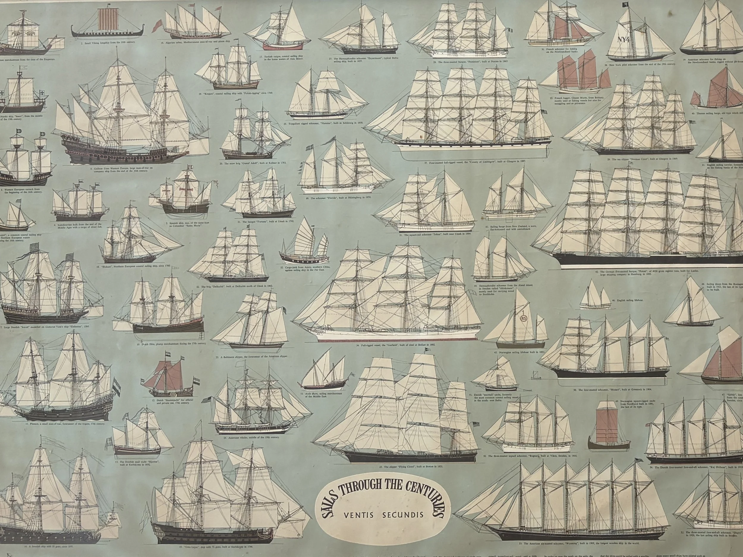 IMG_5897.jpeg