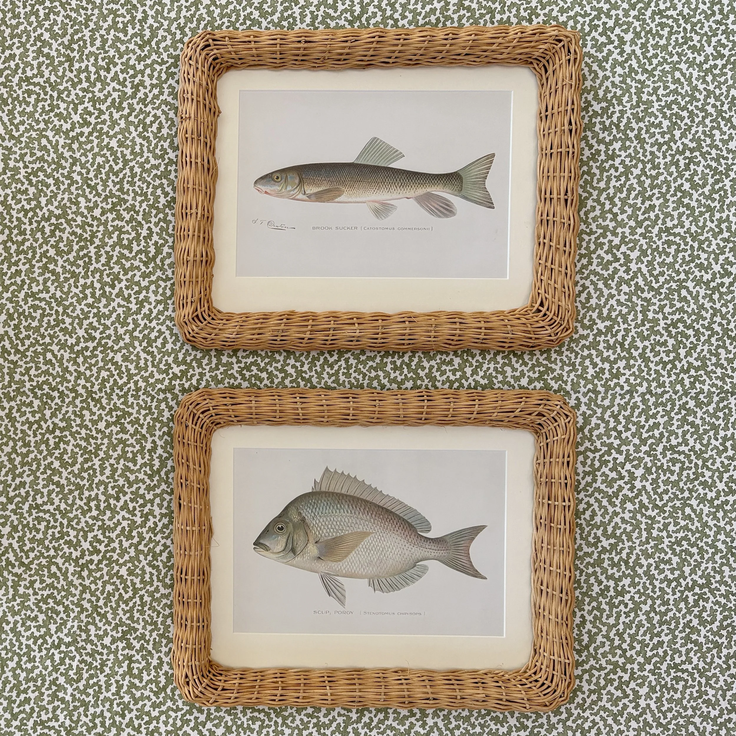 A Pair of Original Antique Chromolithographs of Fish
