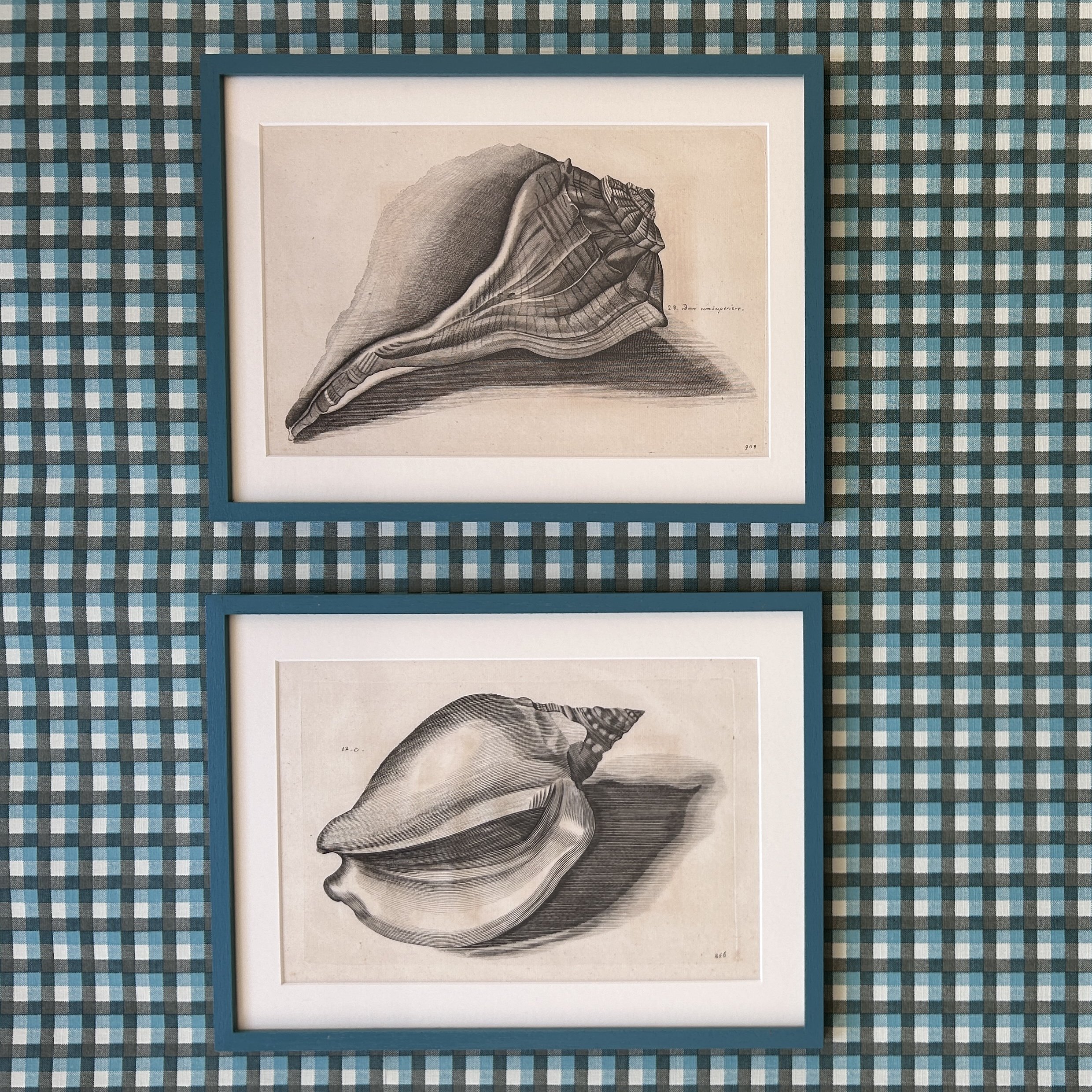 A Beautiful Pair of Rare 17th Century Shell Engravings