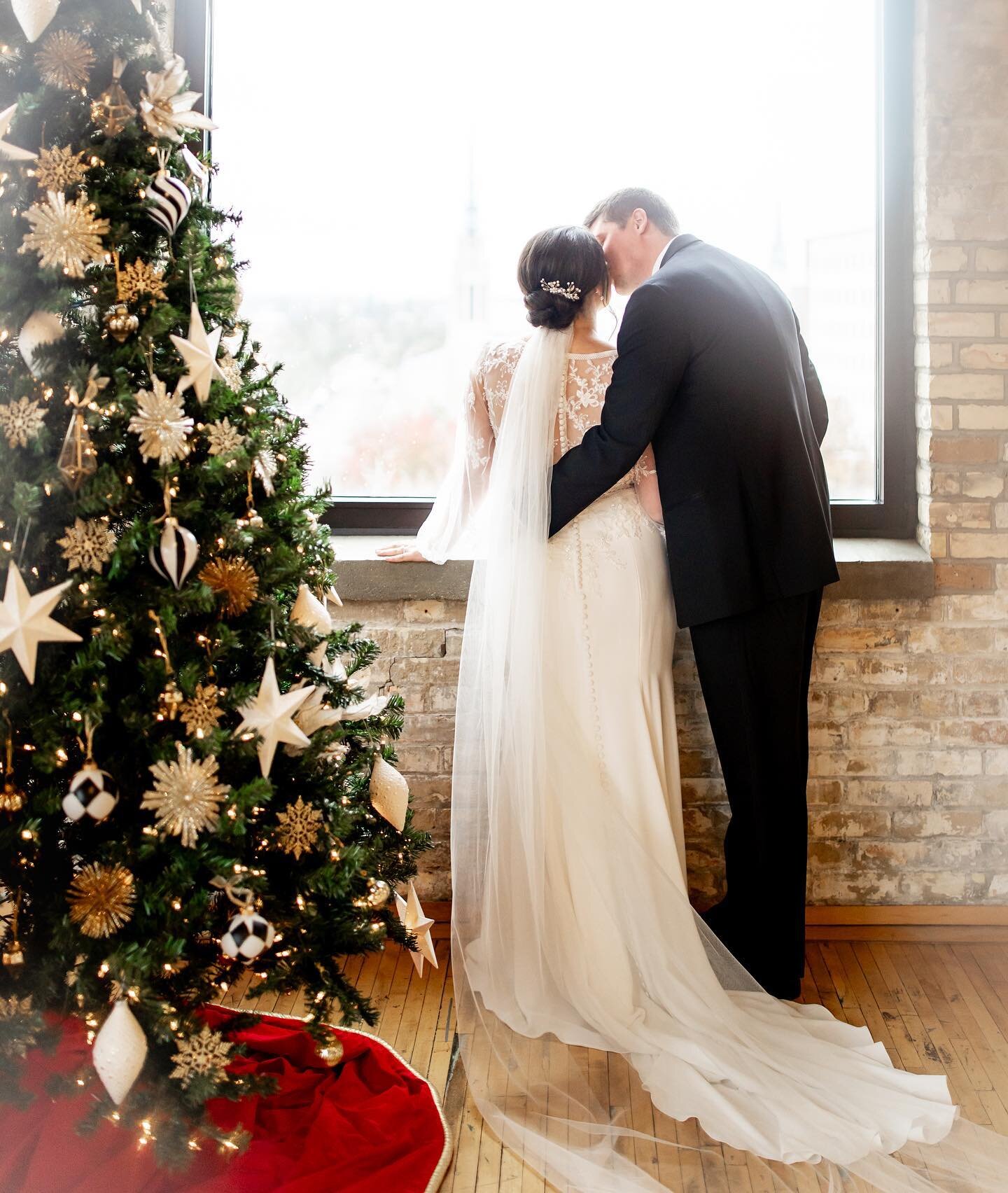 Merry Christmas! ✨

#grandrapidsweddingphotographer #michiganweddingphotographer #christmas #winterwedding

@makeupbyariella 
@bridalelegancegr 
@kangarookitchengr 
@cliquecoffeecatering 
@musichostentertainment 
@drinkourpunch