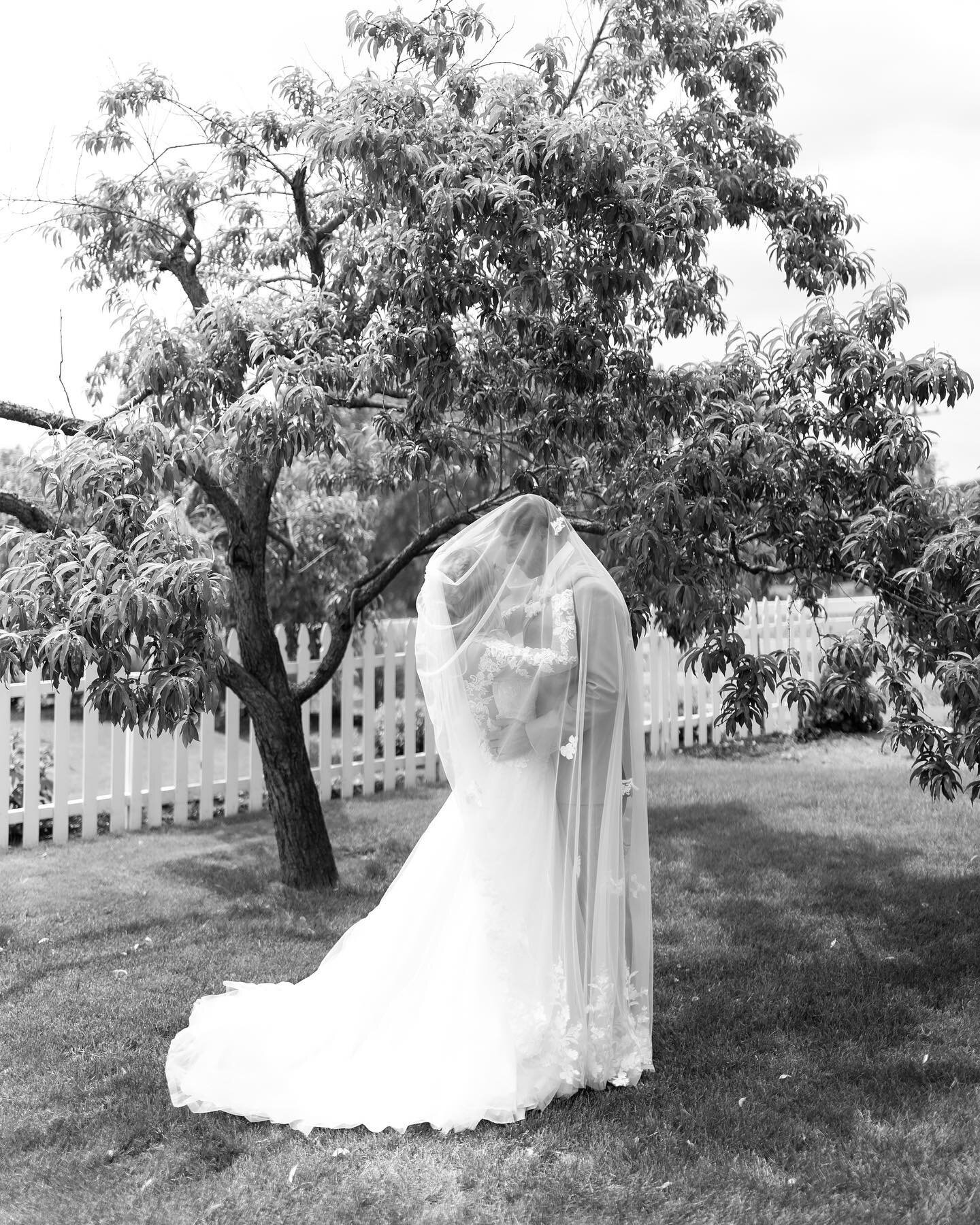 Some black and white favs from the archives 🤍 swipe to see the grandparents making me tear up 🥲 

@barn1888 
#michiganweddingphotographer #grandrapidsweddingphotographer