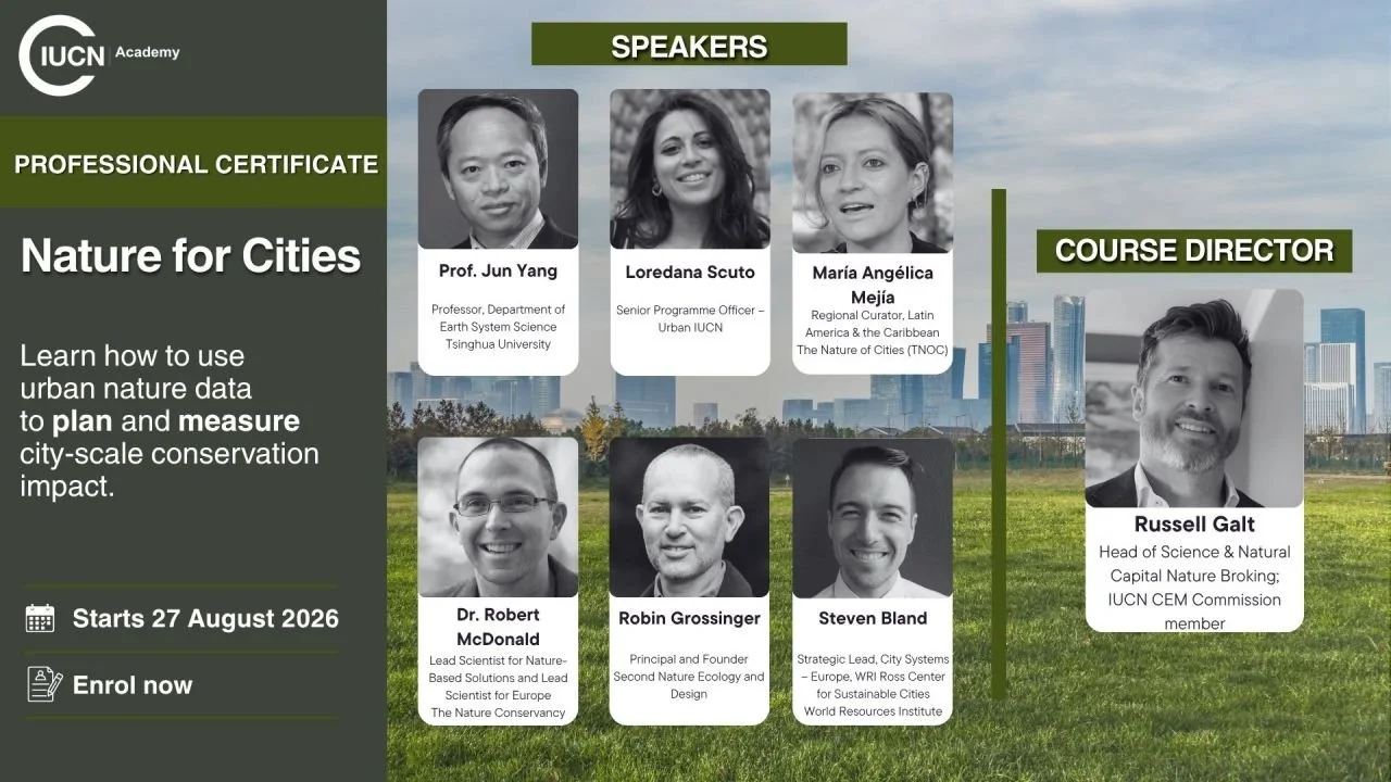Robin Grossinger Joins IUCN Academy Faculty for Nature for Cities
