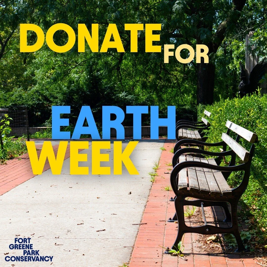 Today is the last day to get your donation DOUBLED! thanks to @tankhouse_llc all donations for Earth Week will be doubled. Support Fort Greene Park! 

Click the link in bio to donate today.
