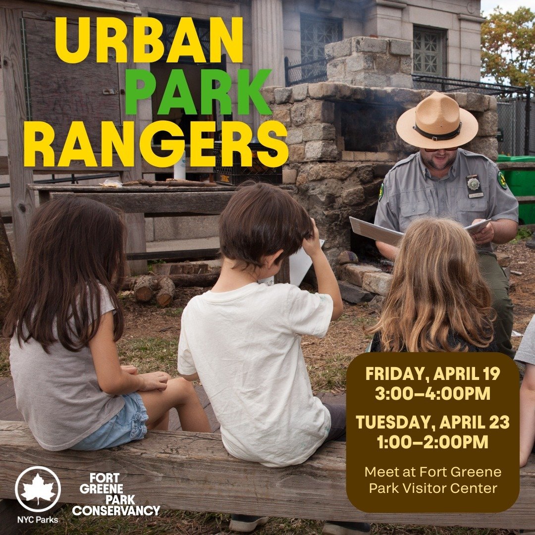 Join the Urban Park Rangers at the Visitor Center this weekend for free, educational, and fun programming.

Wildlife Viewing: Birding
Friday, April 19, 2024
3:00&ndash;4:00pm
Join the Urban Park Rangers on a birding adventure around Fort Greene Park!