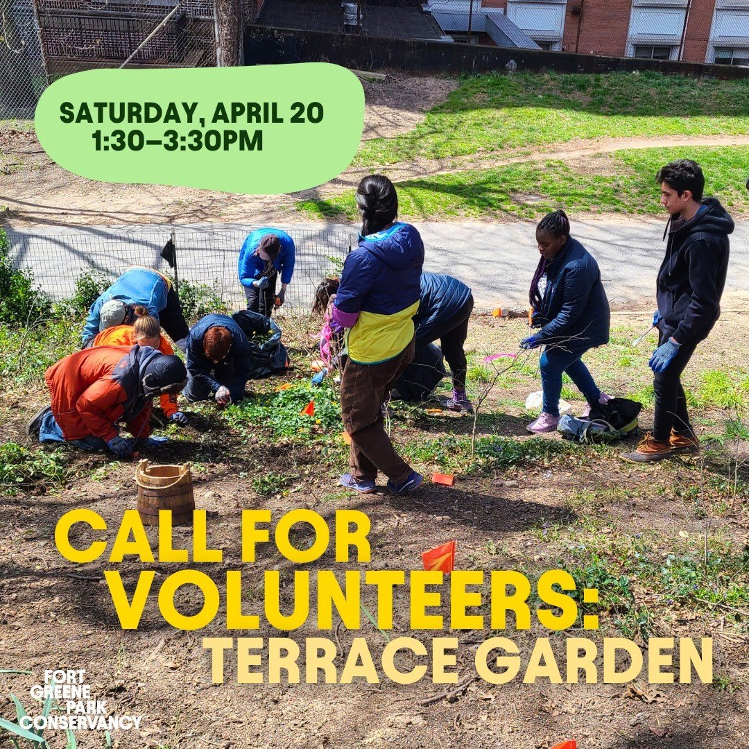 On Saturday April 20, help the Green Team create a vibrant garden along an eroded slope on the west side of the park. This garden will help combat erosion that disturbs public walkways, foster biodiversity, and enhance the landscape. They'll need hel