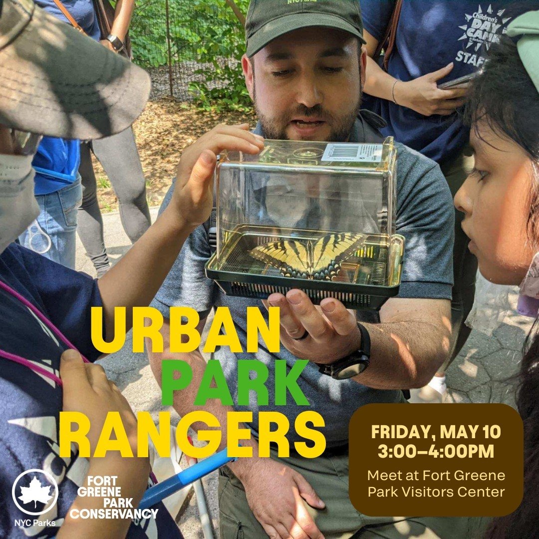 Join the Urban Park Rangers at the Visitors Center this weekend for free, educational, and fun programming. 

Kids and Family: Bug Catching
Friday, May 10, 2024
3:00&ndash;4:00pm
Join the Urban Park Rangers at the Visitors Center for family-friendly 