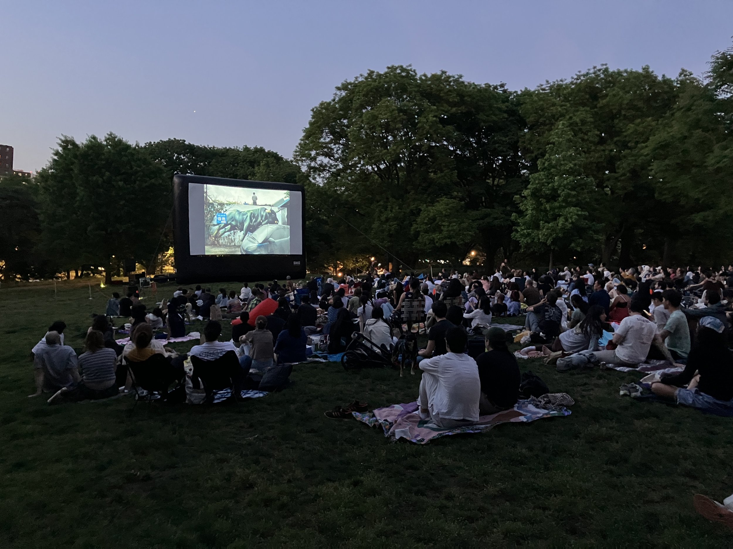 Queerly Beloved: Pride Shorts in the Park