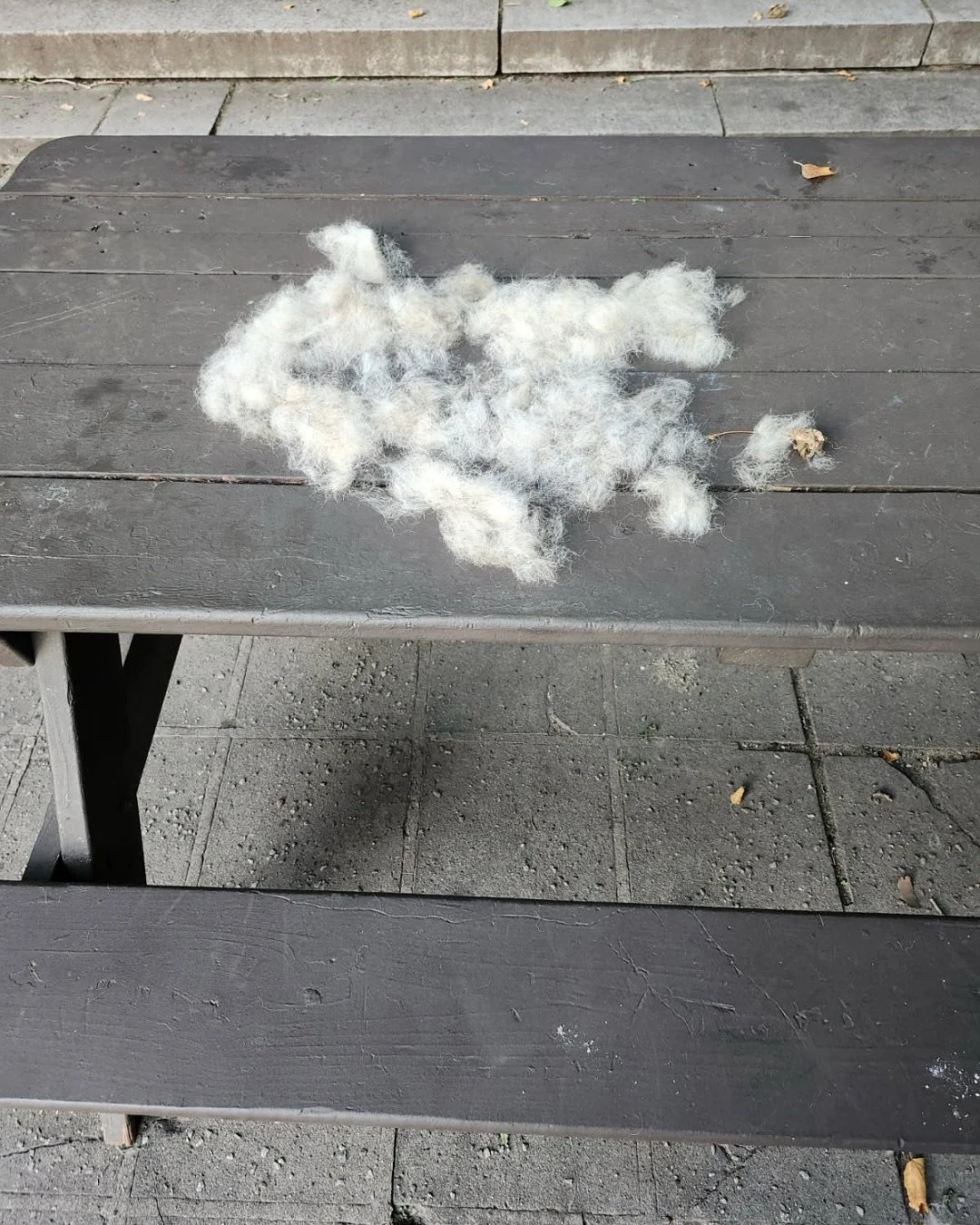 If you brush your dog in the park, pick up the fur and toss it in the trash. That's all.