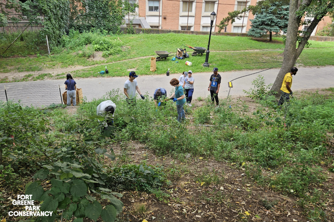 Summer Green Team: Air Pollution and How it Affects YOU