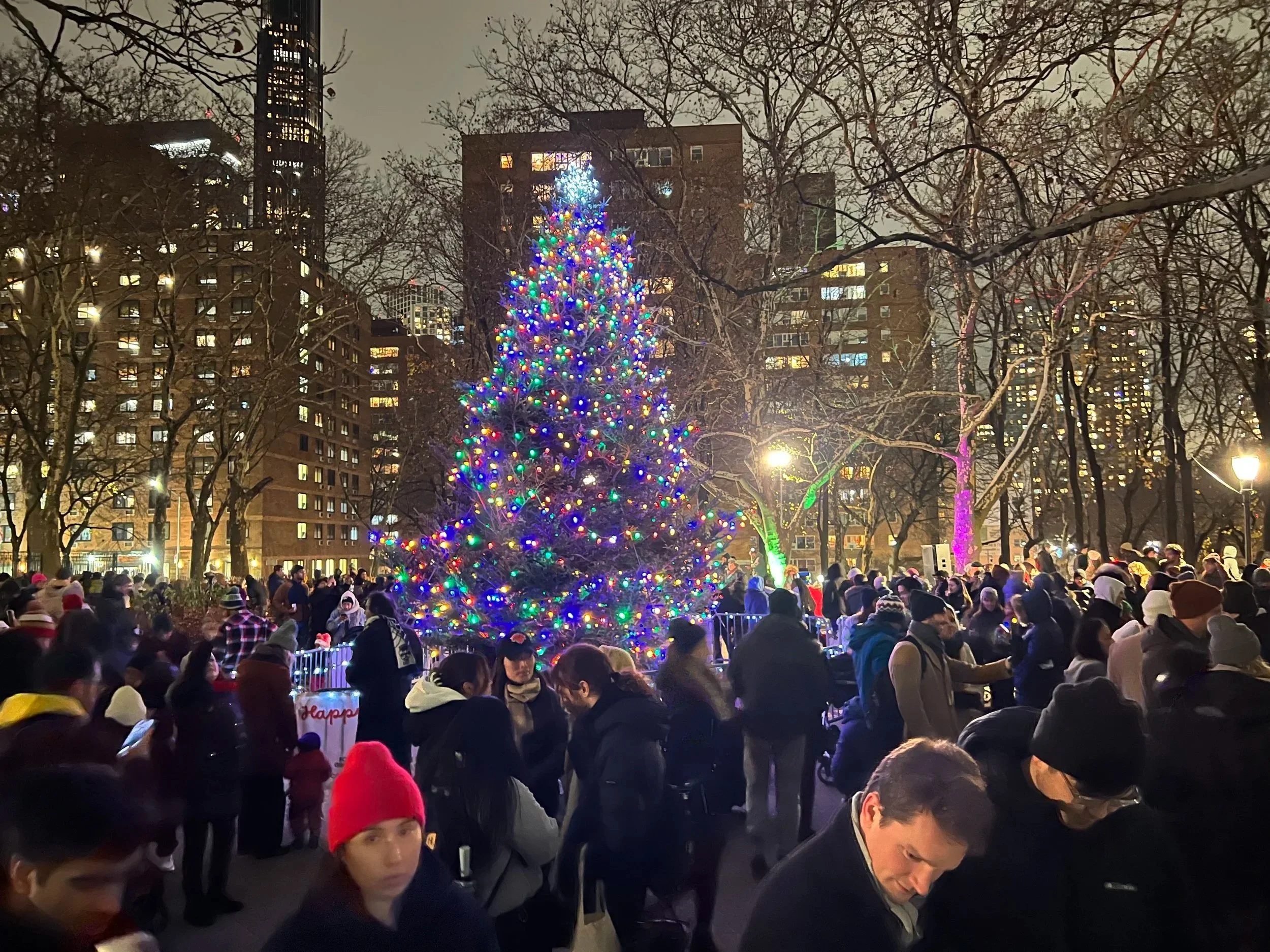 Fort Greene Tree Lighting 