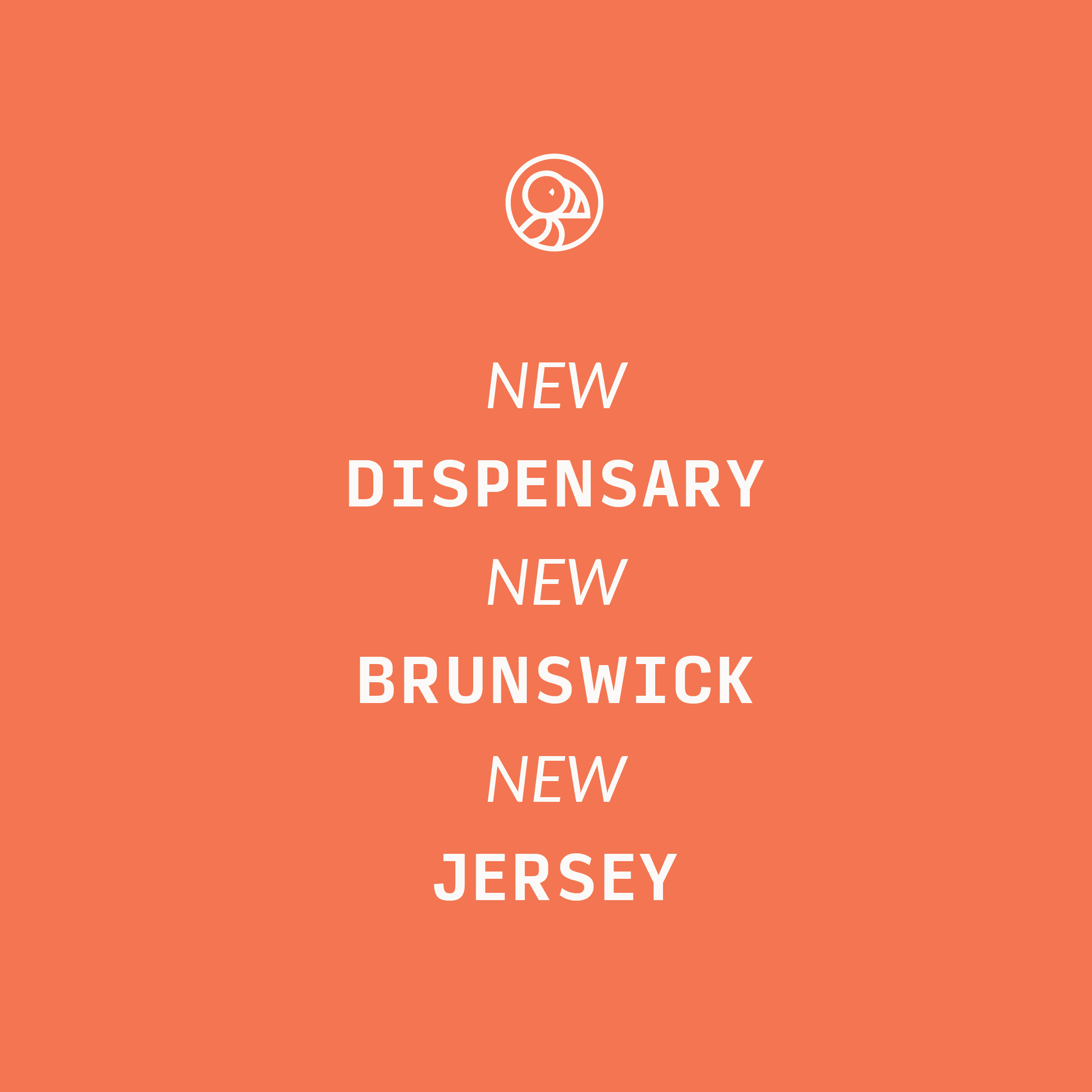 220823_Puffin_BrandGuide-24.png