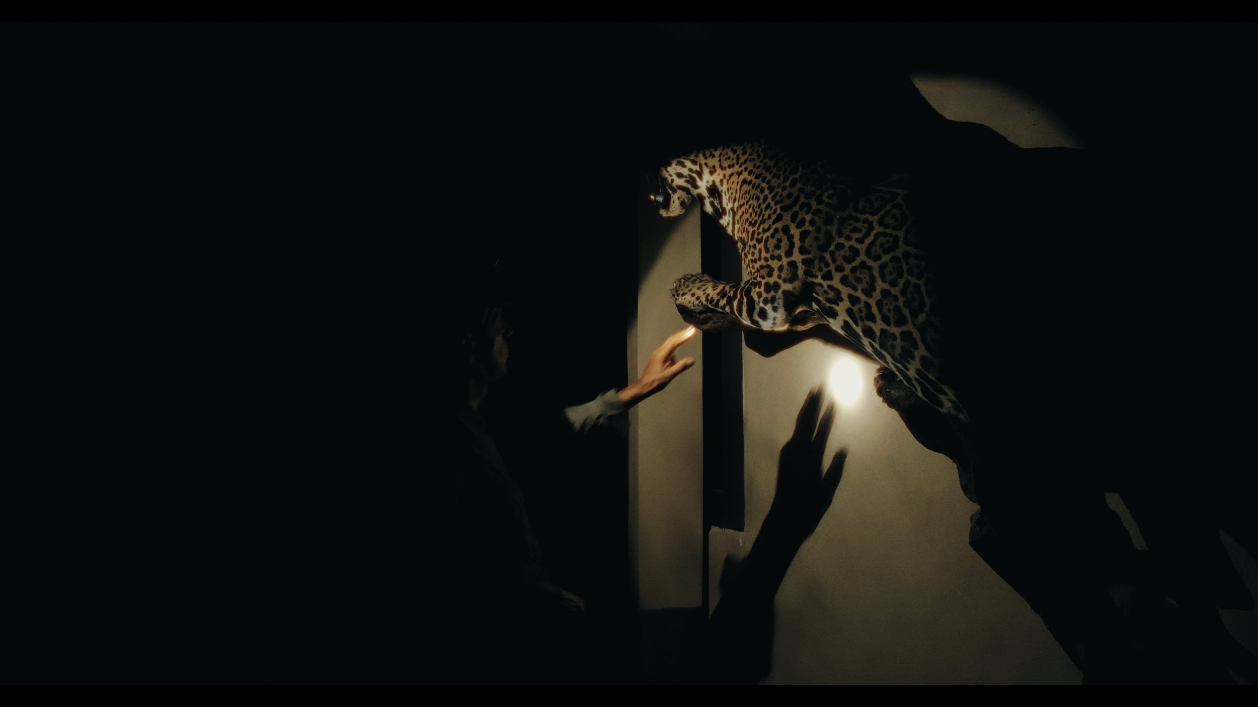Piel Violenta still