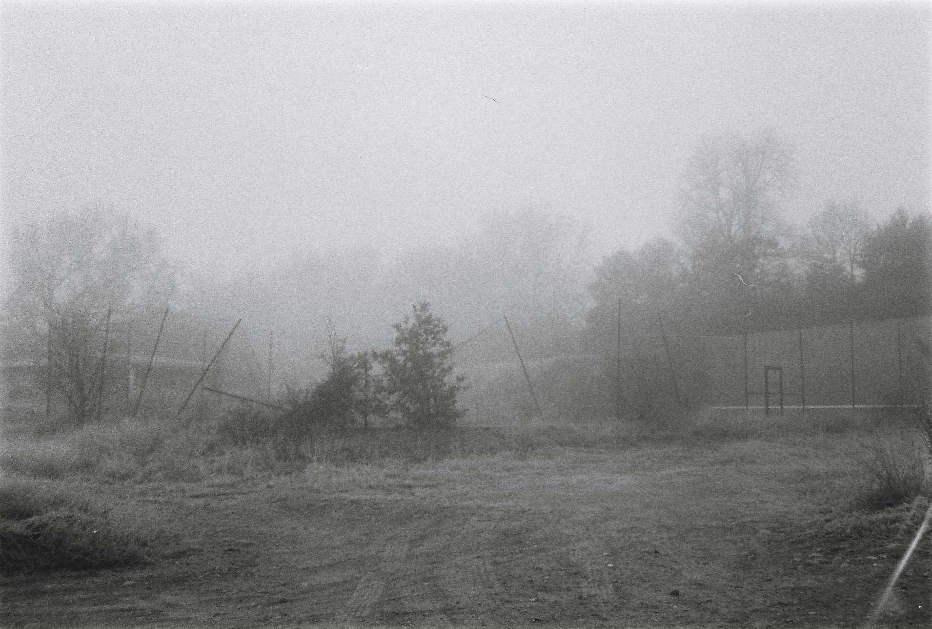 A foggy outdoor scene with leafless trees, a fence running across the background, and a dirt or gravel surface in the foreground.