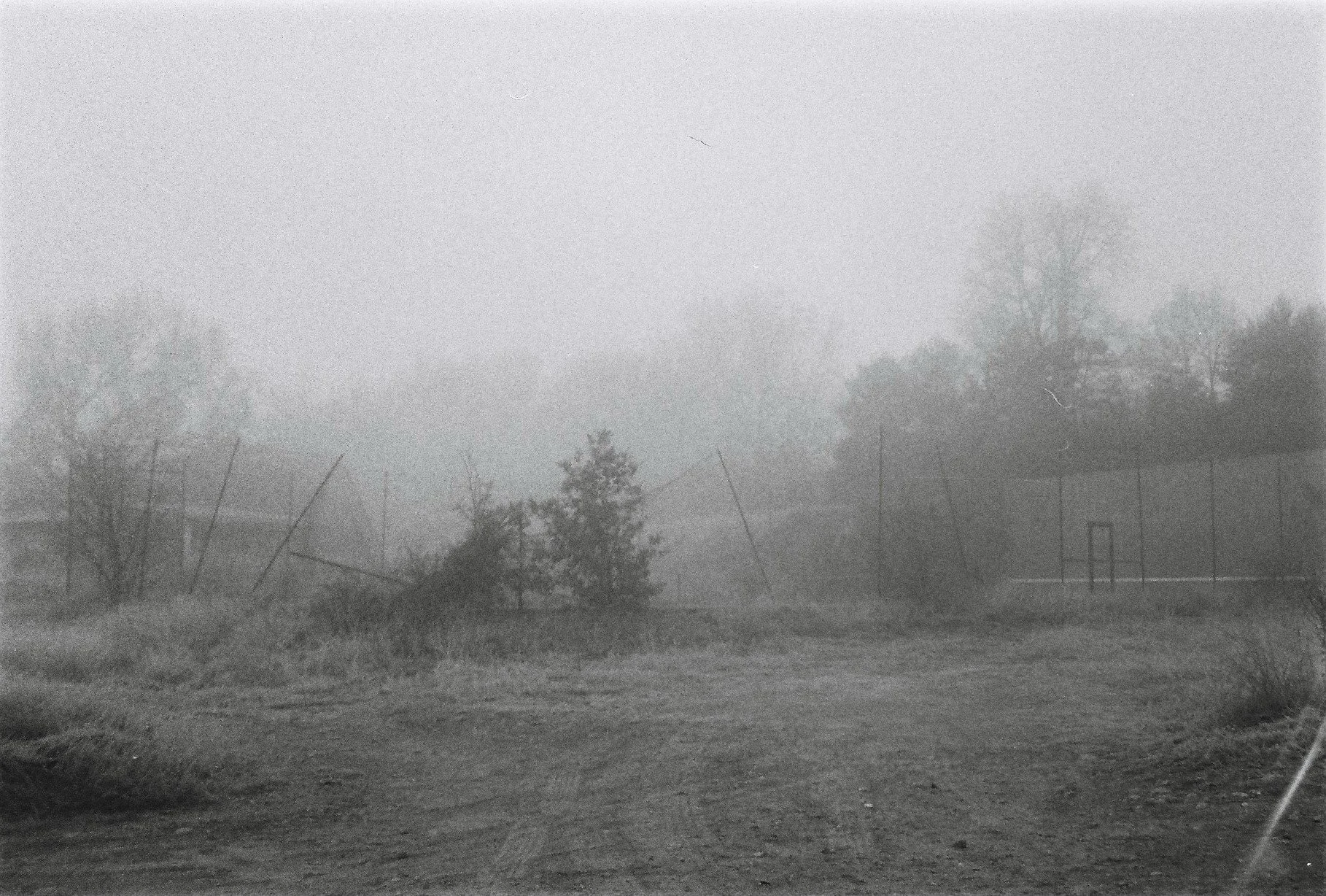 A black and white photograph of a foggy outdoor scene with trees, a wire fence, and a dirt area in the foreground.