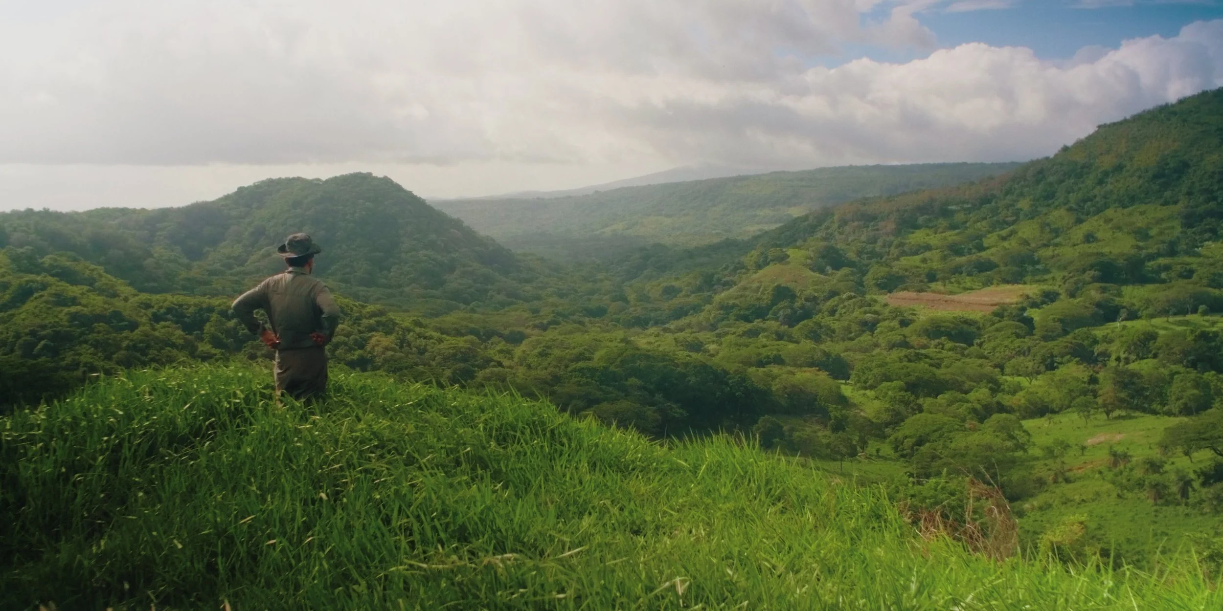 A person in outdoor clothing and a wide-brimmed hat standing on grassy terrain, overlooking a lush, green valley with hills under a partly cloudy sky.