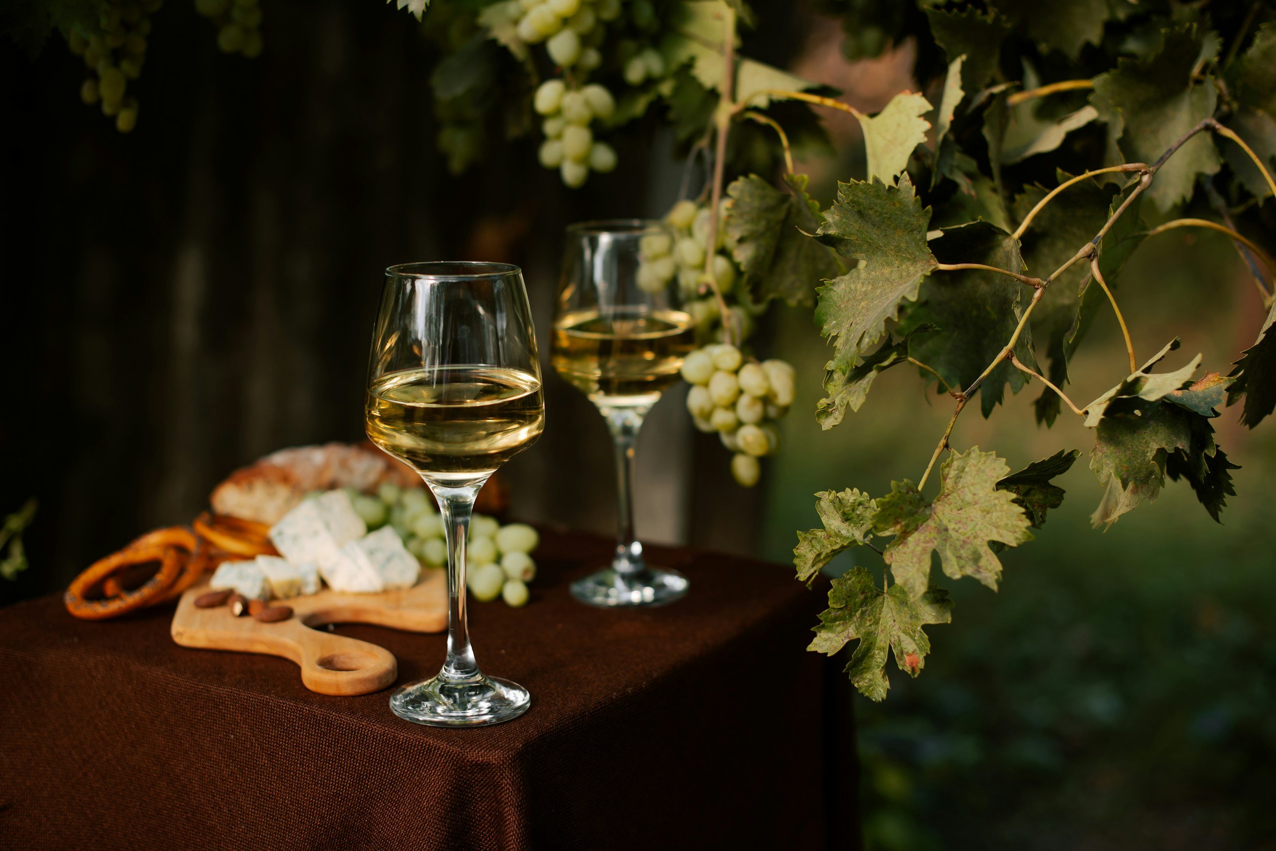 Two glasses of white wine on a table with cheese, crackers, and grapes, set outdoors among grapevine leaves.
