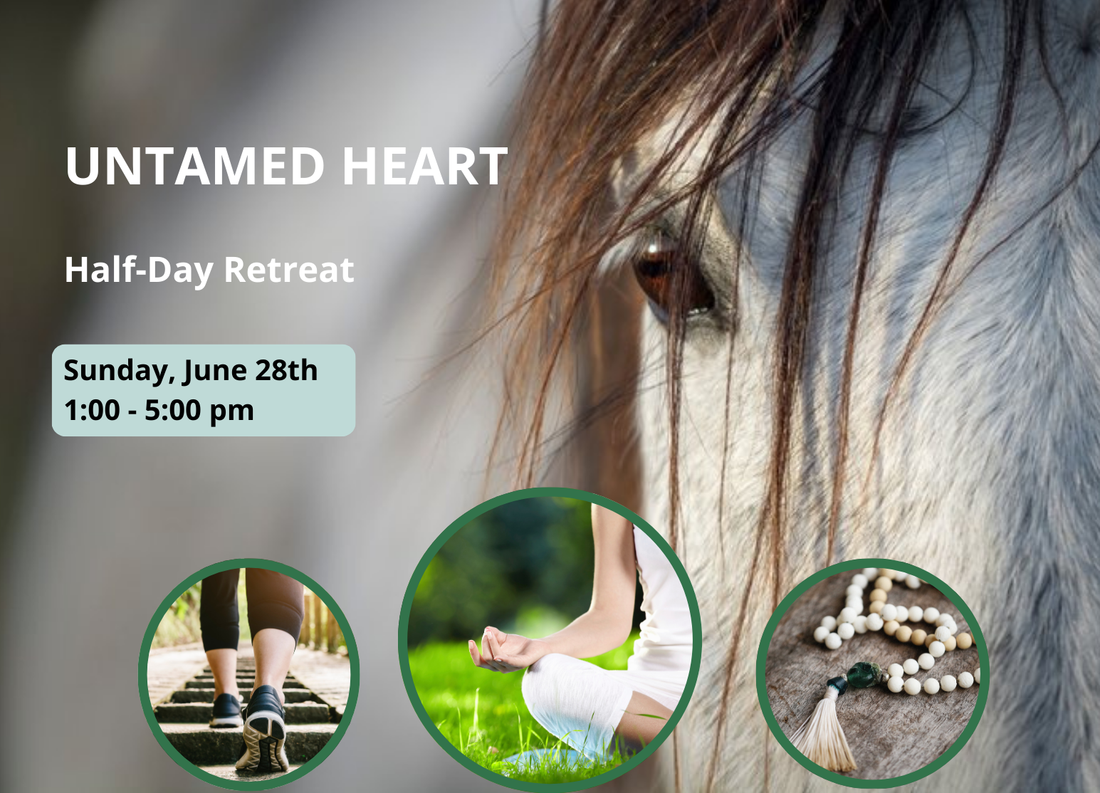 Untamed Heart Half-Day Retreat