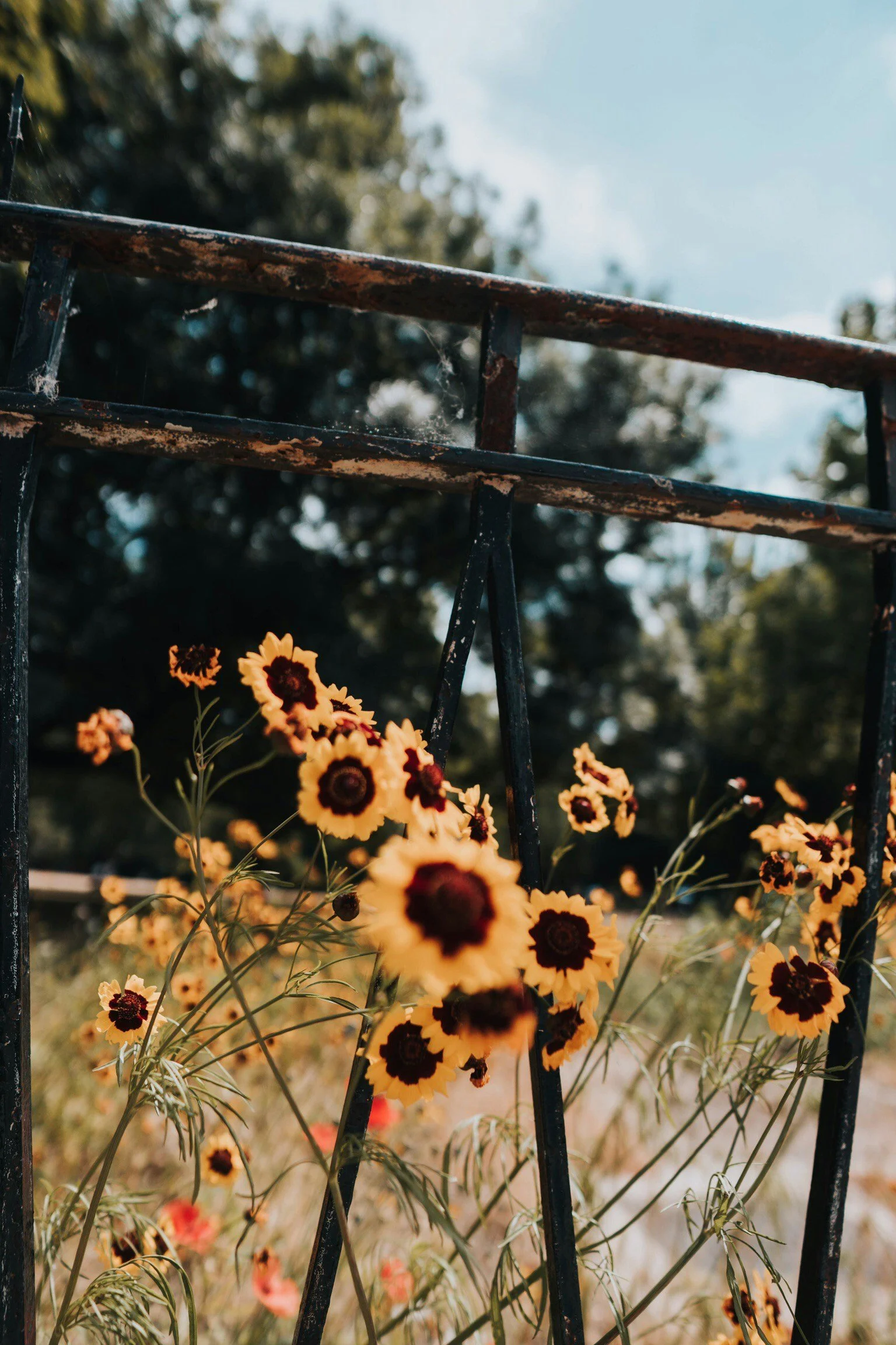 dex-ezekiel-l3tt5blt518-unsplash.jpg