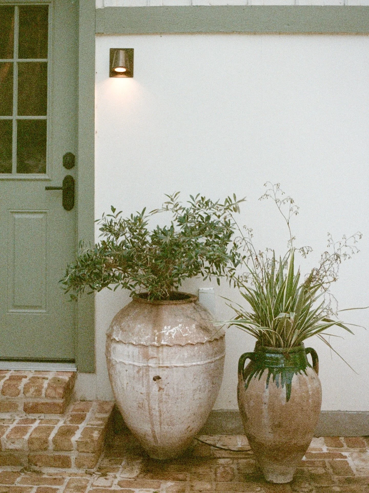 This is my third year attempting a garden, and I feel like I&rsquo;m just starting to figure it out.

The other night I was out watering right before sunset and felt the urge to grab my film camera and shoot a roll. I didn&rsquo;t overthink it, which