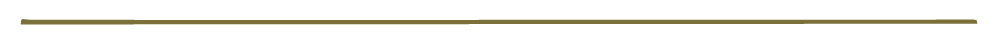 A dark background with thin gold lines at the top and bottom.