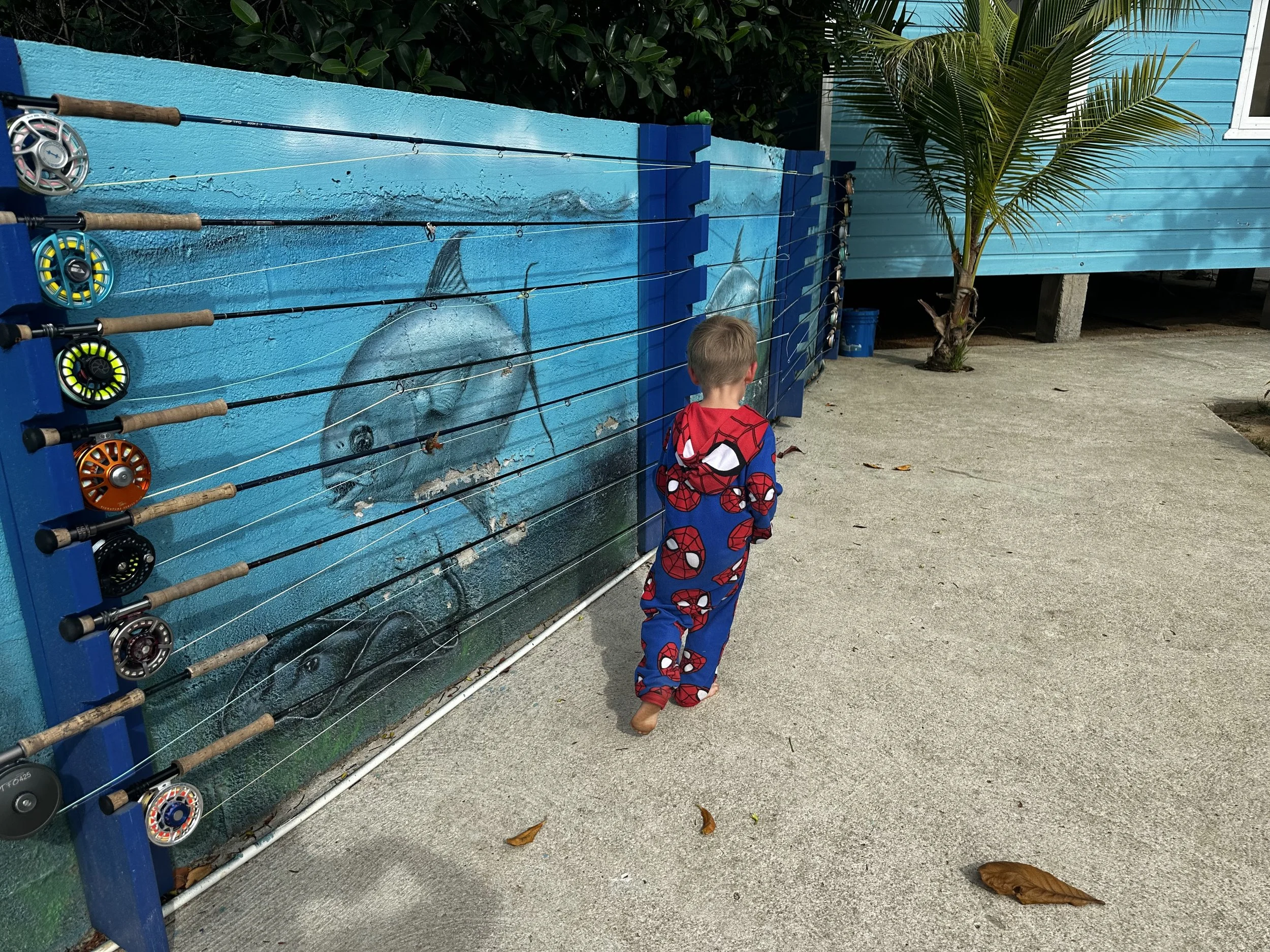 IMG_2871.jpeg