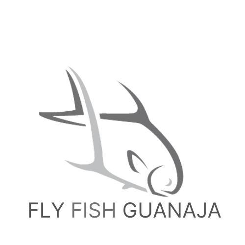 Fly Fish Guanaja