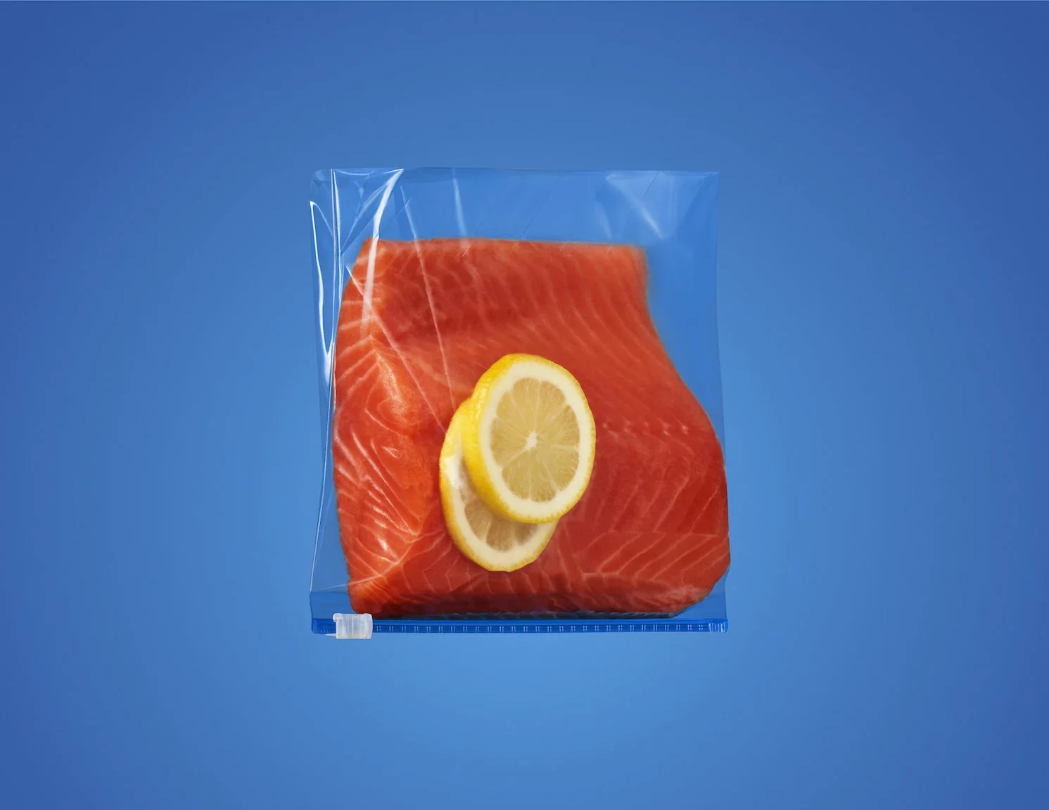 Salmon_v2.jpg