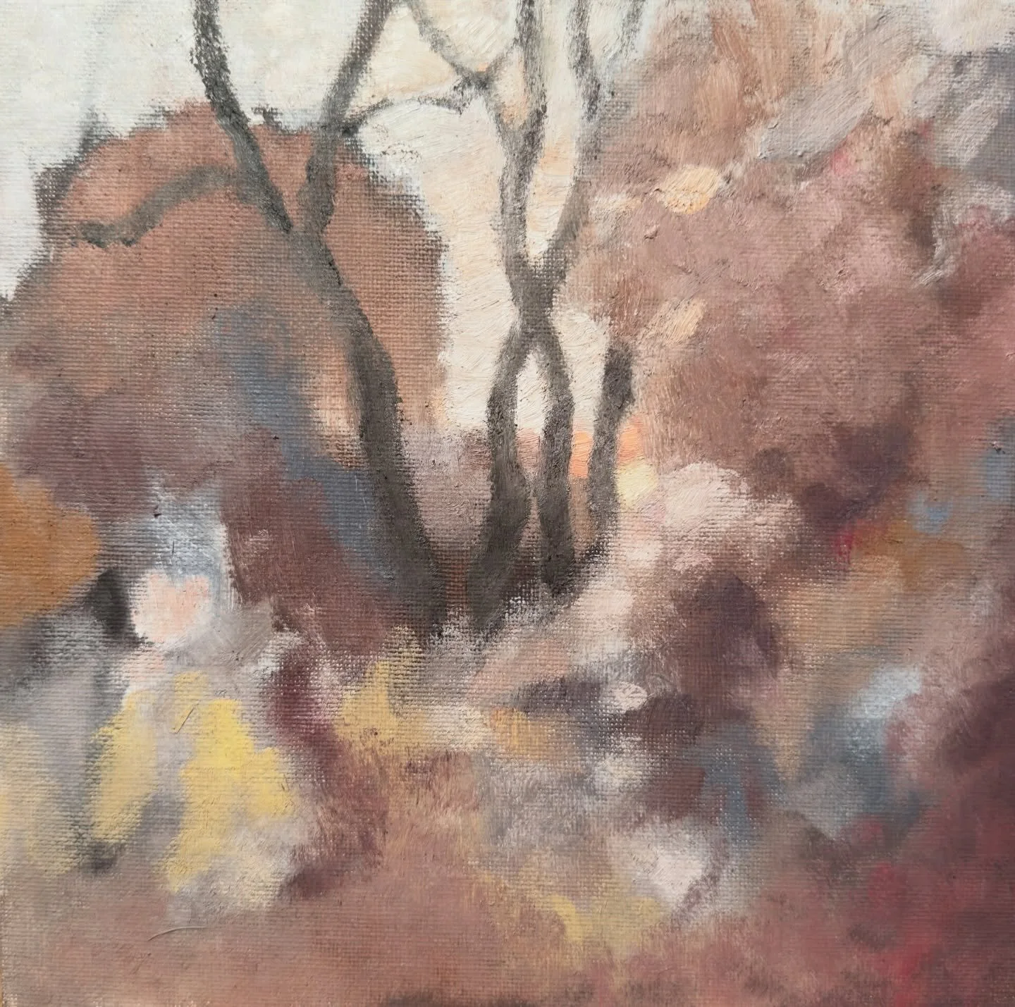 &ldquo;The Last Kiss,&rdquo; 8 x 8 inches, oil on canvas panel, 2025. Available. Link in bio.

#pleinairpainting #oilpainting #oiloncanvas #landscape #juliewebb