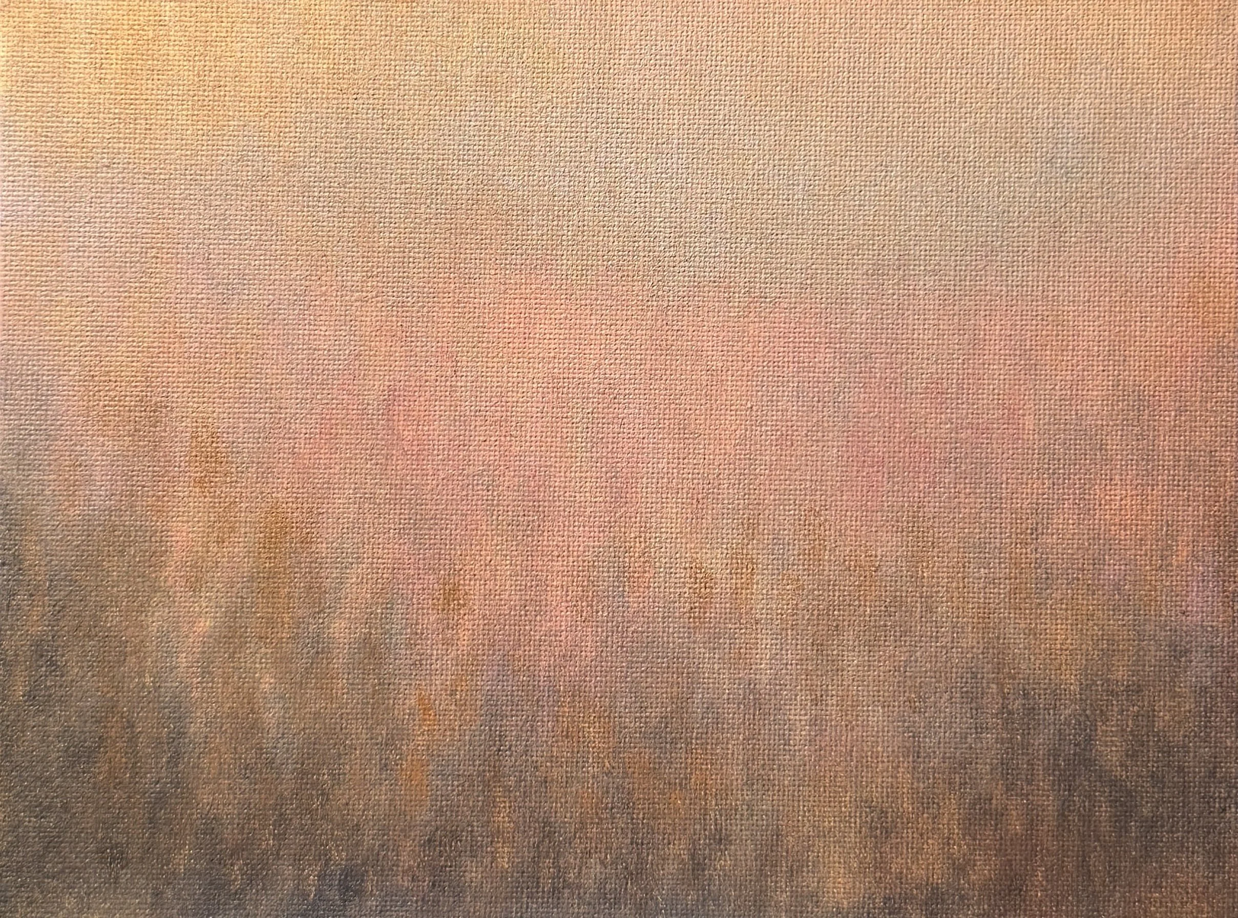 Sunlight on Rain