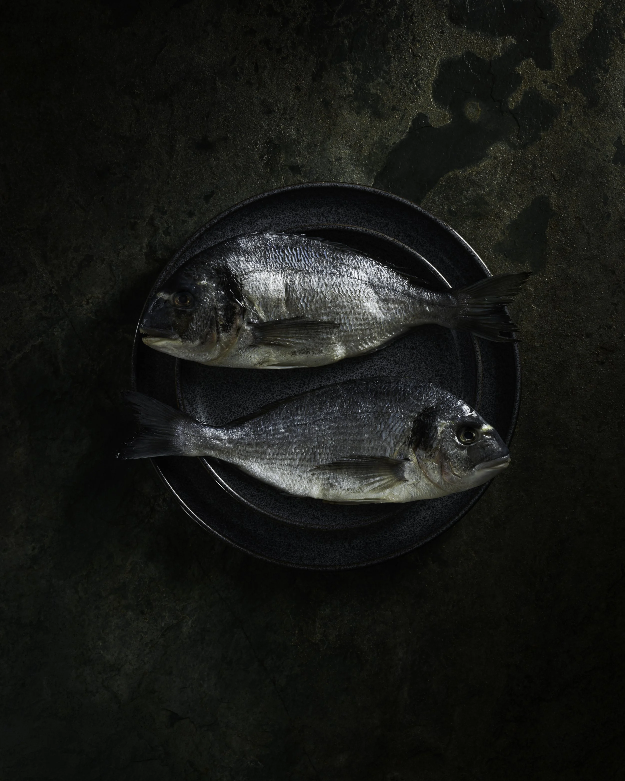 Dark and moody sea food photography created by commercial photographer at Emily Mills Photographic Studio. Two sea bream fish laying in opposite directions on dark moody plates on a slate background https://www.emilymillsphotography.com/foodanddrink