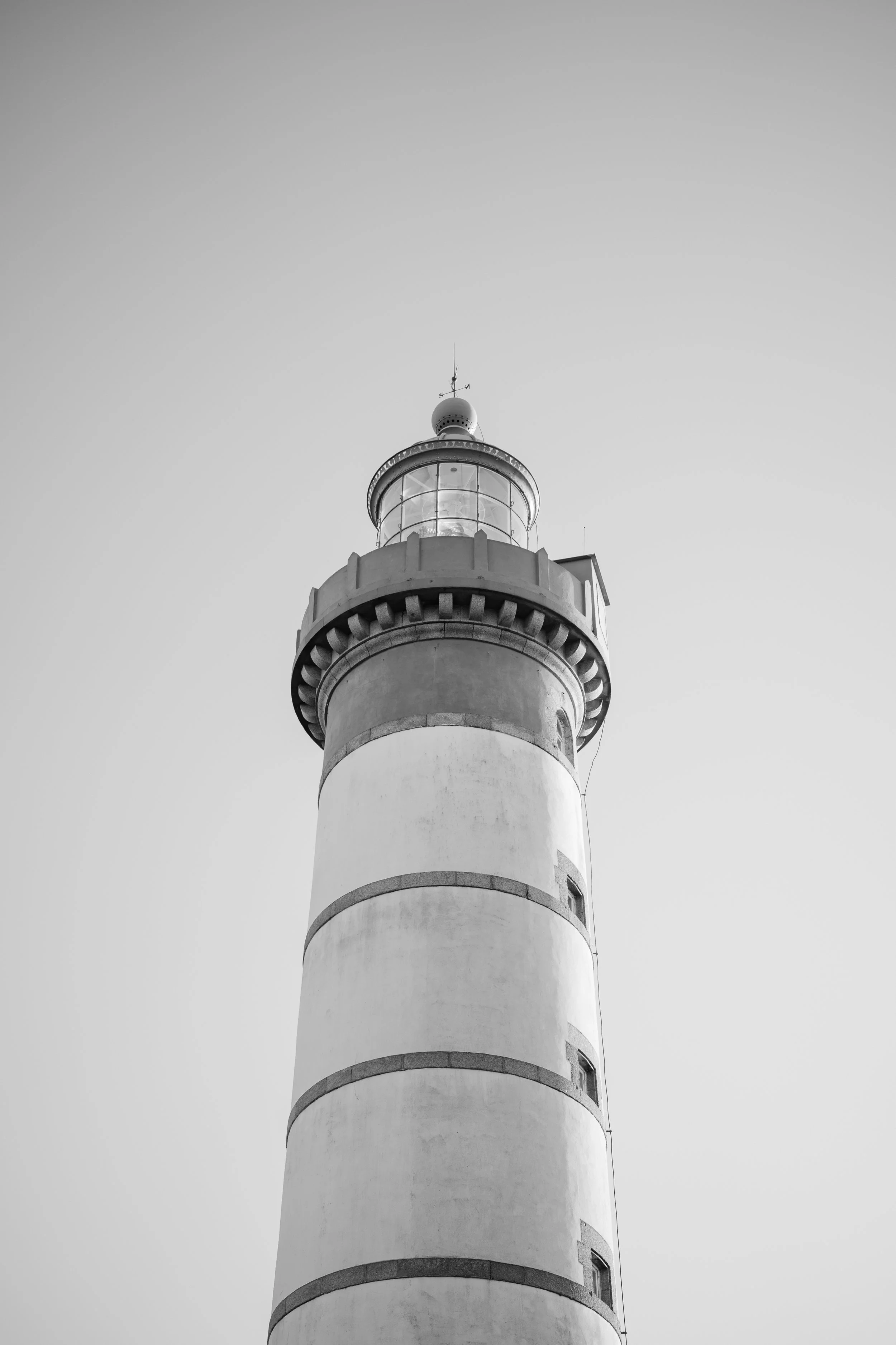 EDSC01665.jpg