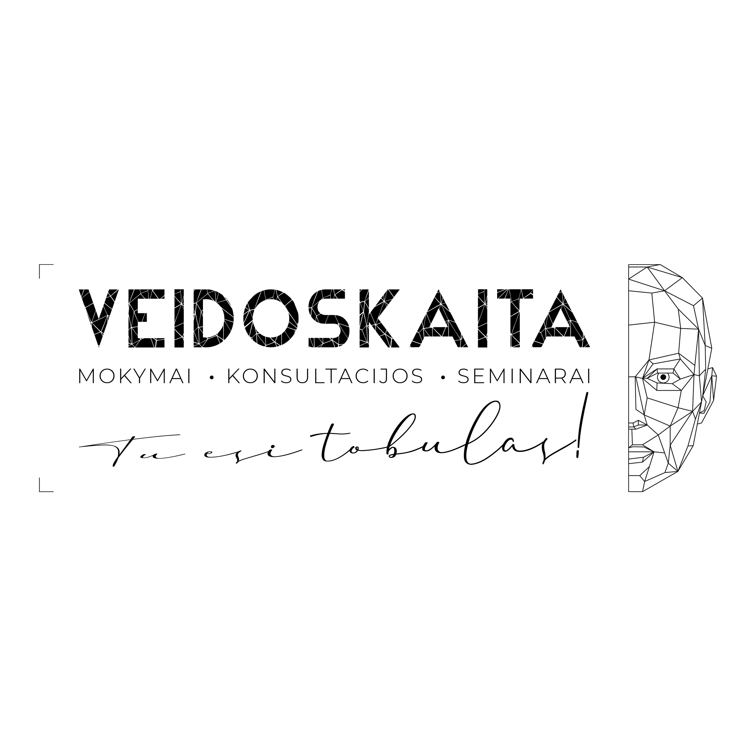 Logo-Tobulas-Horizontalus.png