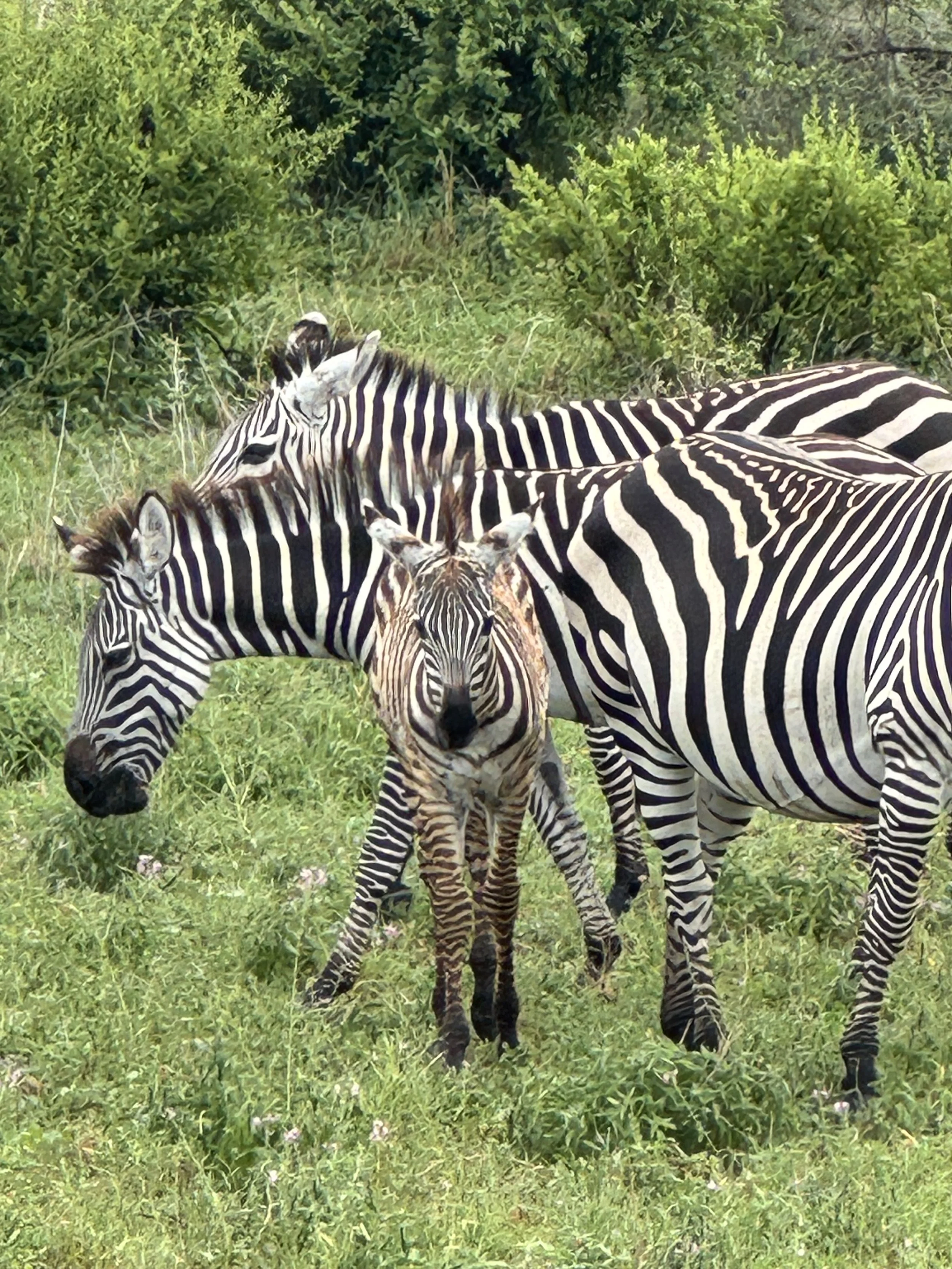 Photo Feb 15 2026, 1 18 46 PM.jpg