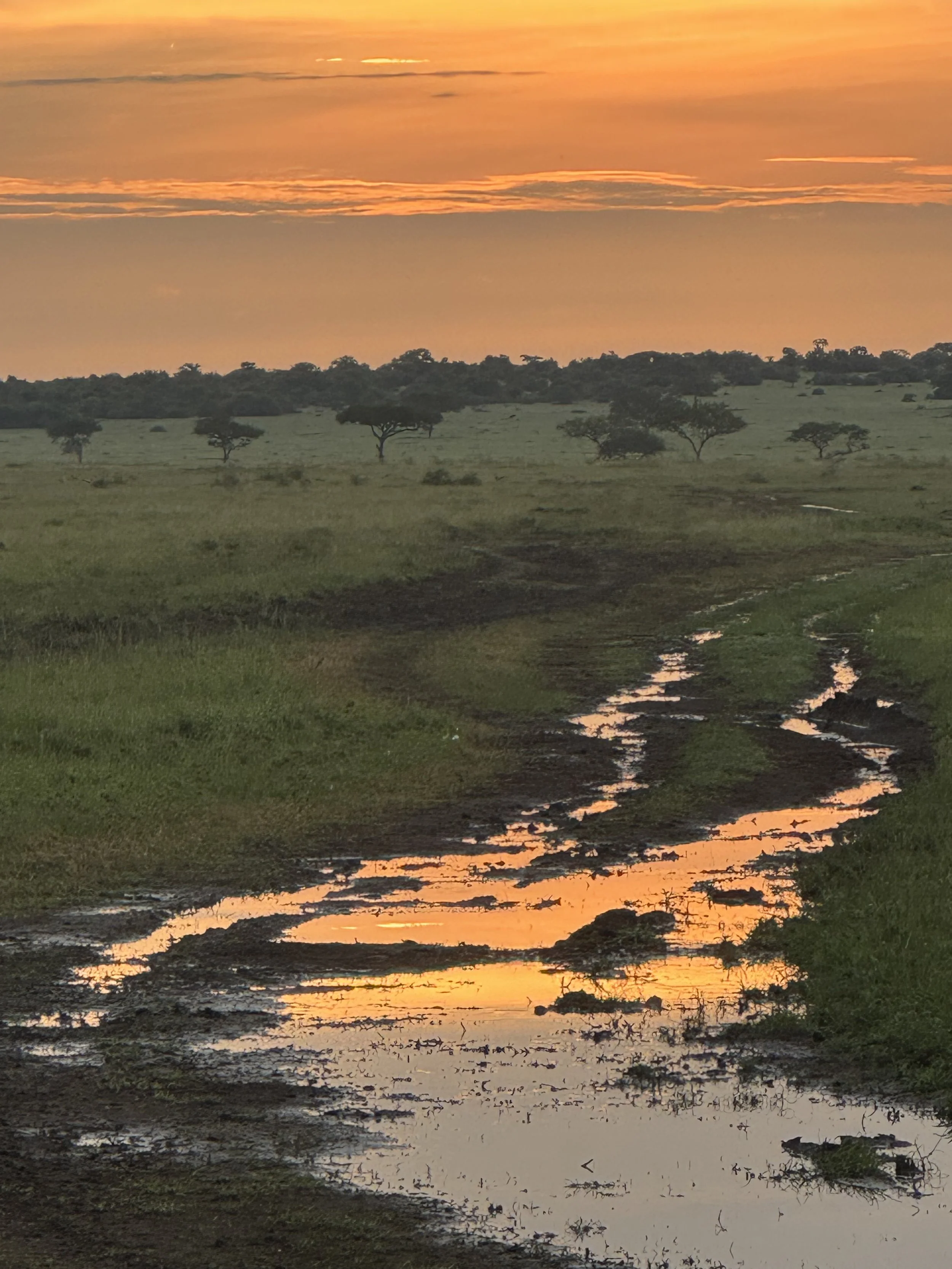 Photo Feb 17 2026, 7 17 46 AM.jpg