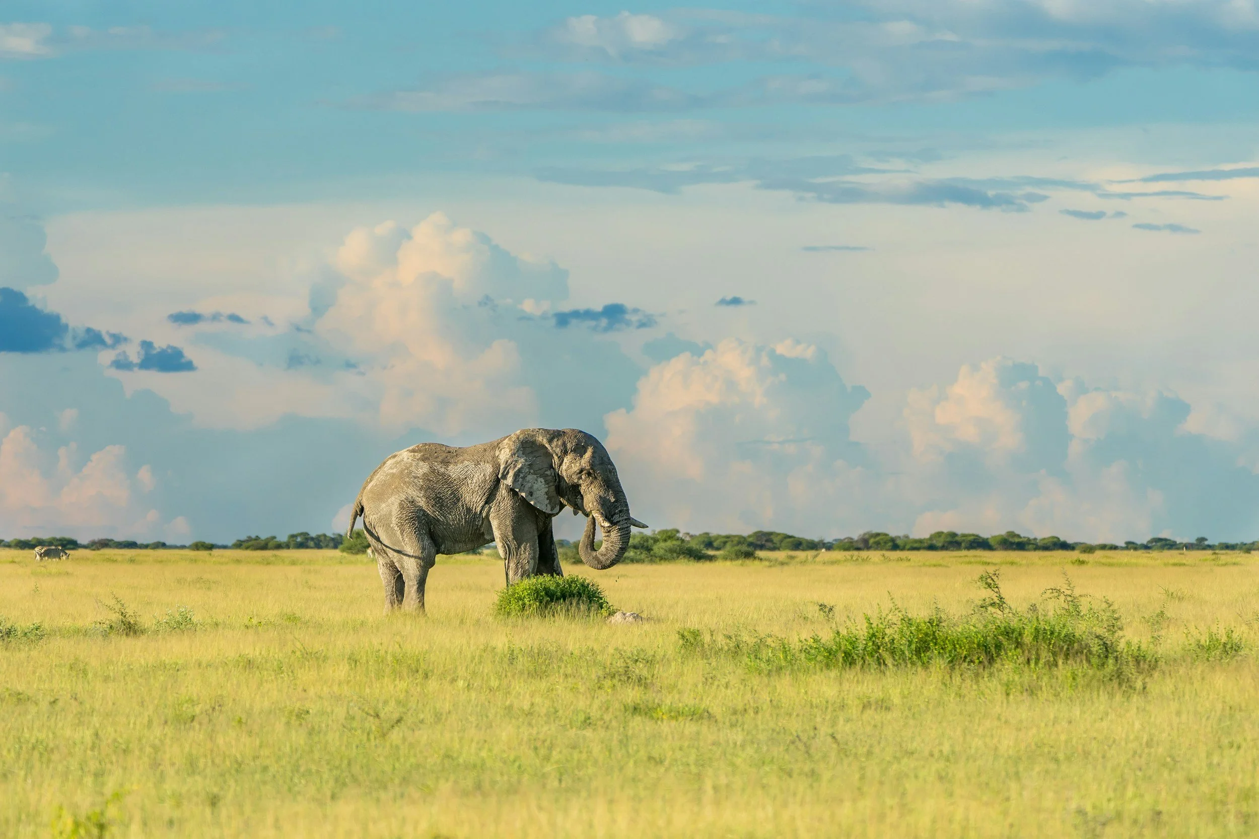 unsplash-image-Bx03VWrNGaA.jpg