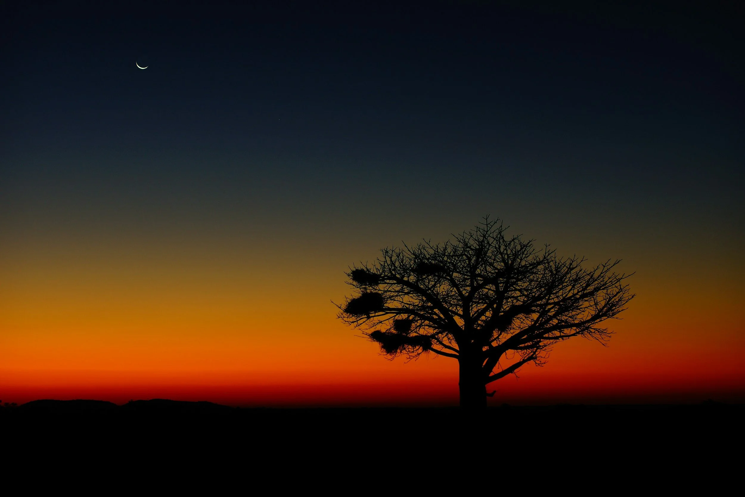 Travel Just For You