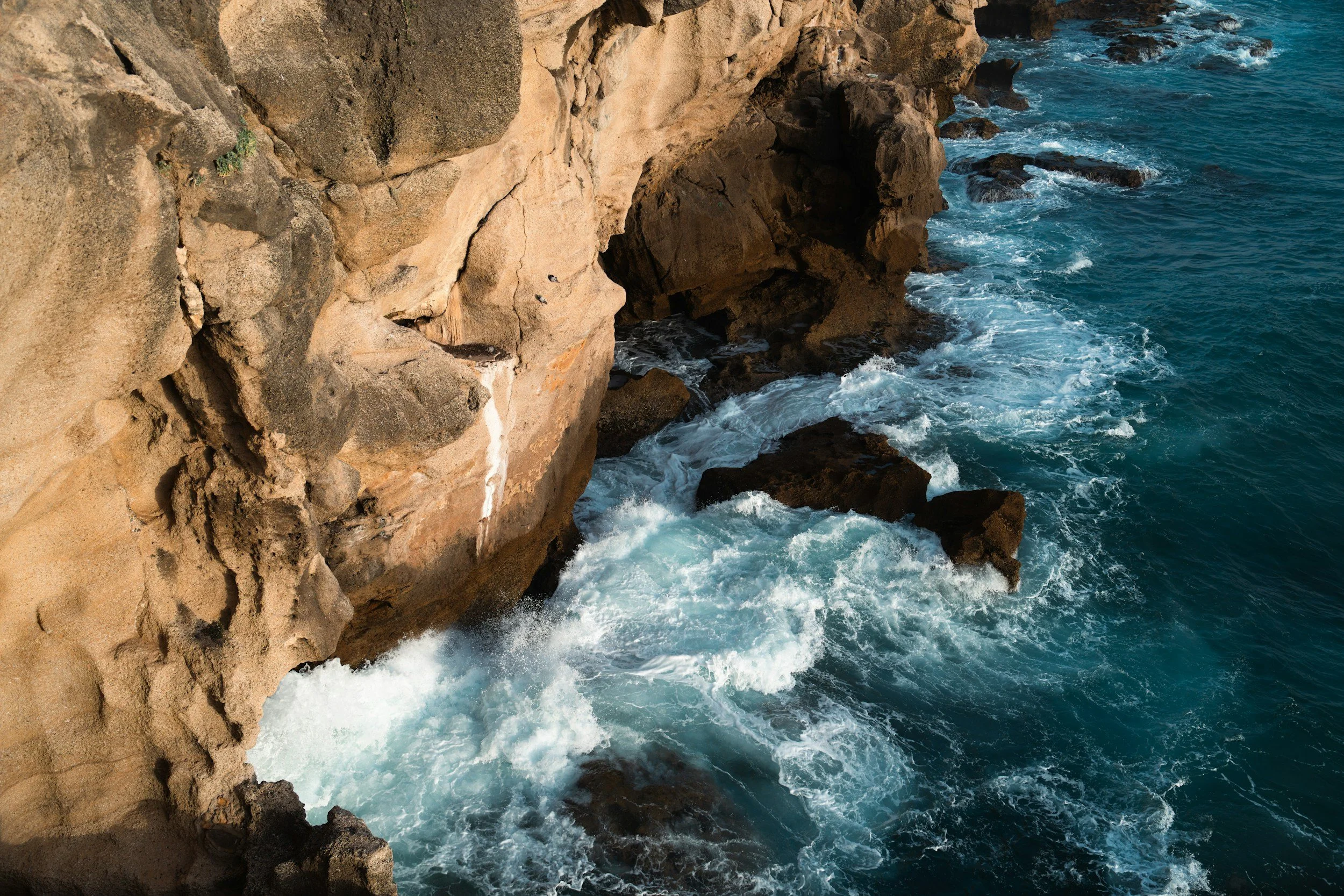 unsplash-image-O3_dTJd-hQs.jpg