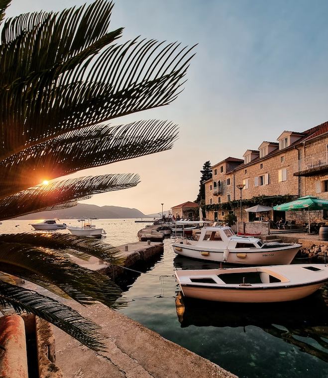 Screen Shot 2022-06-20 at 7.18.26 AM.png