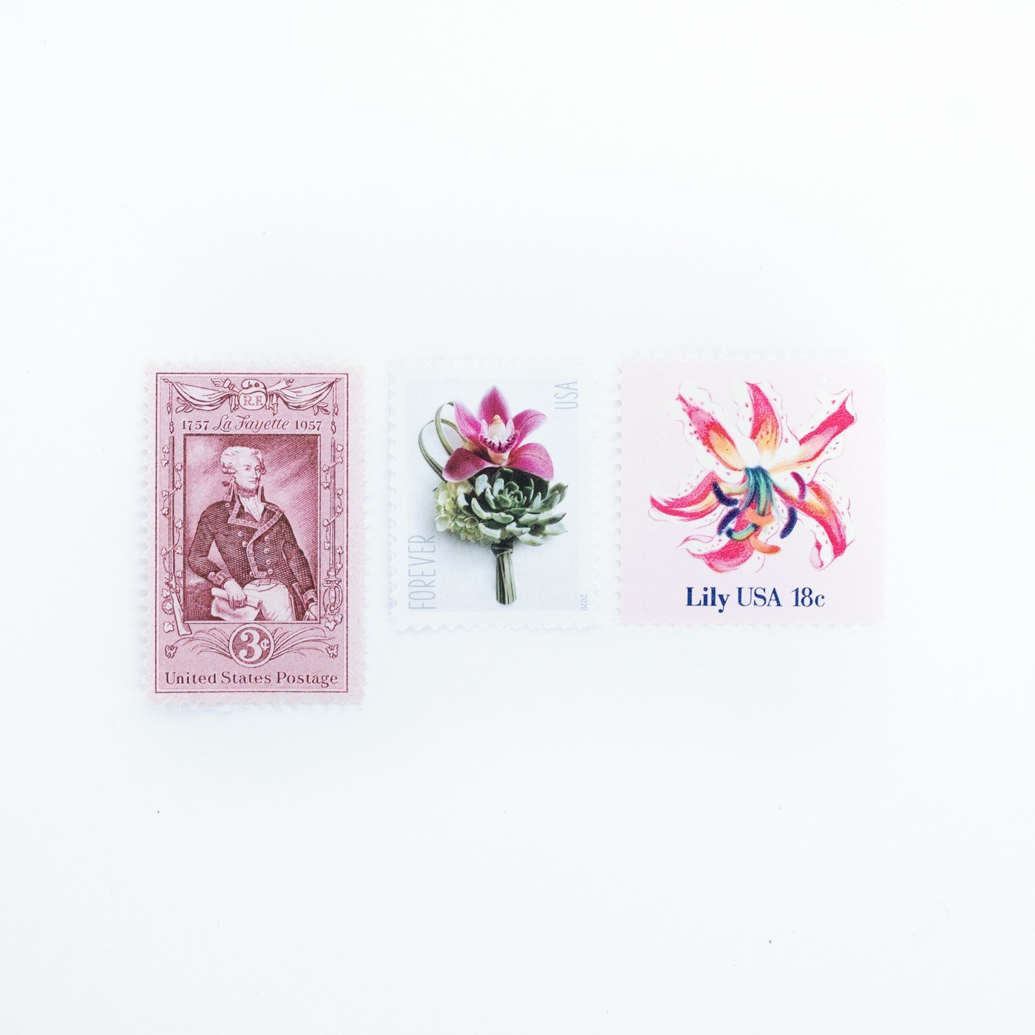 10 Pink Camellia Flower 18 Cent Stamps Unused Vintage Floral Postage Pink  Botanical Flower Garden Stamps for Mailing