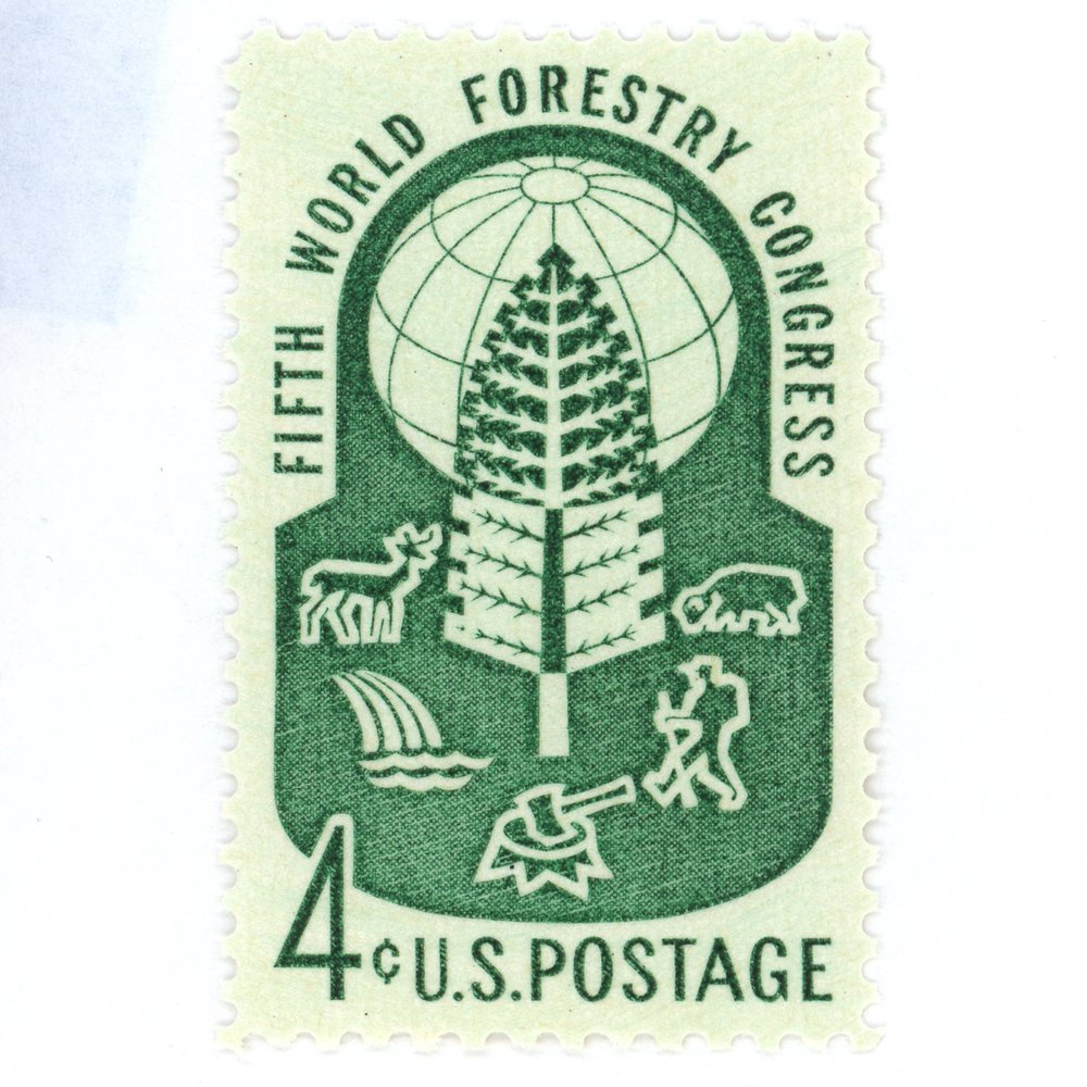 6c Ladyslipper Stamps .. Vintage Unused US Postage Stamps .. Pack of 5 –  treasurefoxstamps
