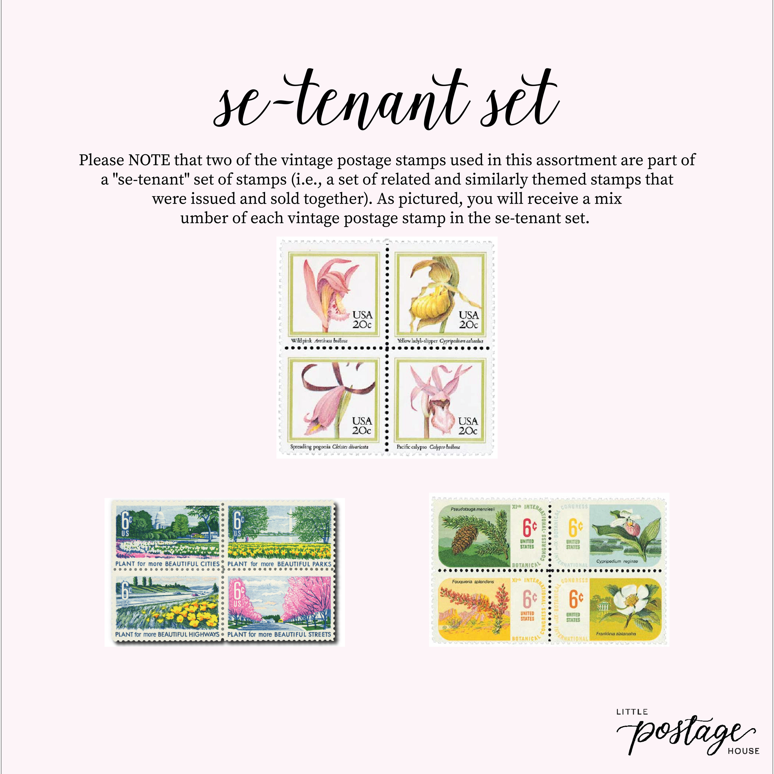 Love Birds_Artboard 1.png