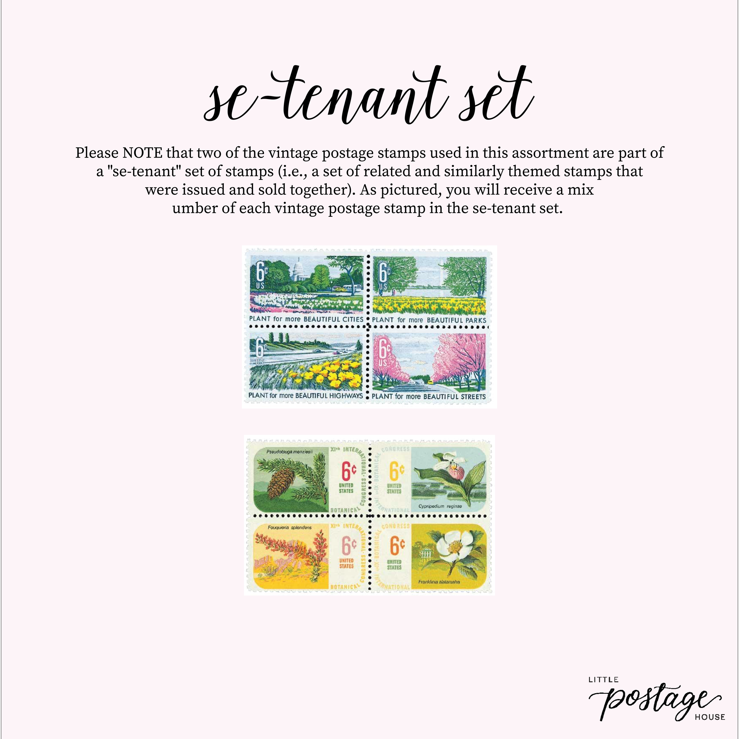 Spring Time_Artboard 1.png