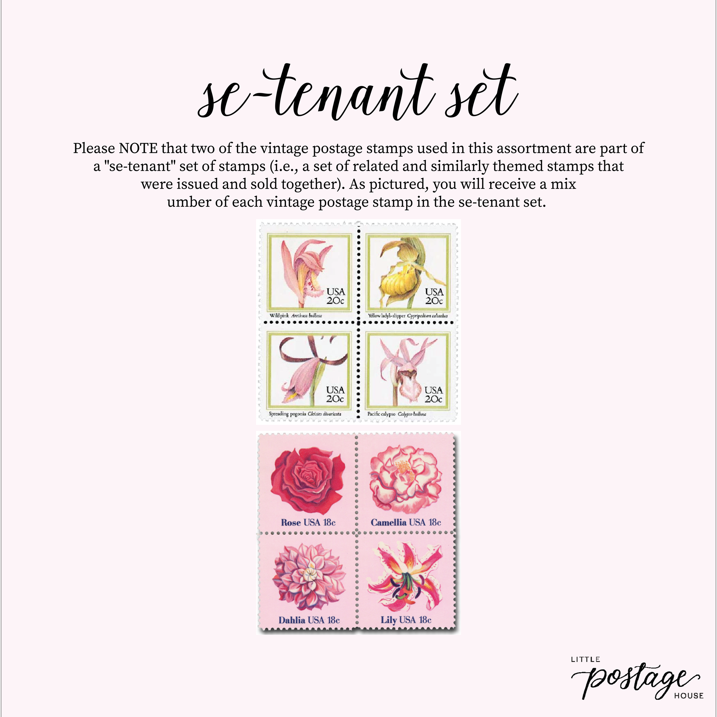 Ballerina's Love_Artboard 1.png