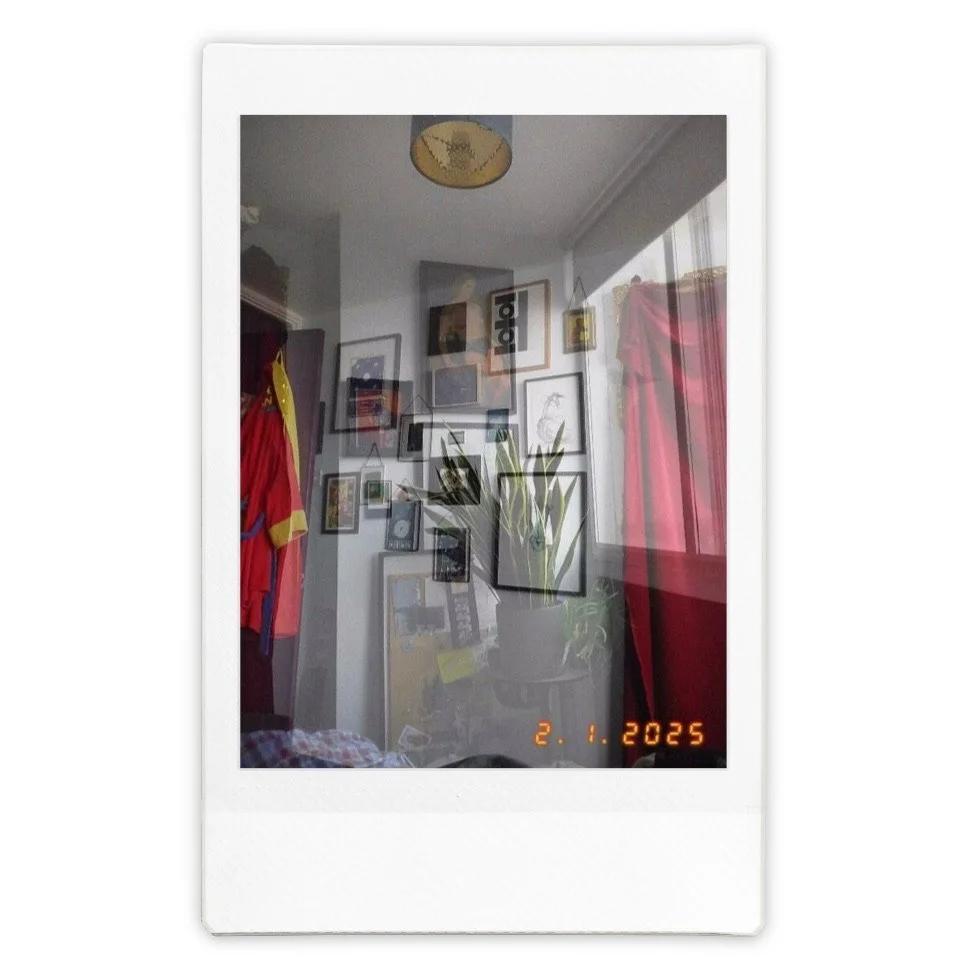 Seeing double in the bedroom  |  
Film: normal,
Lens: double exposure