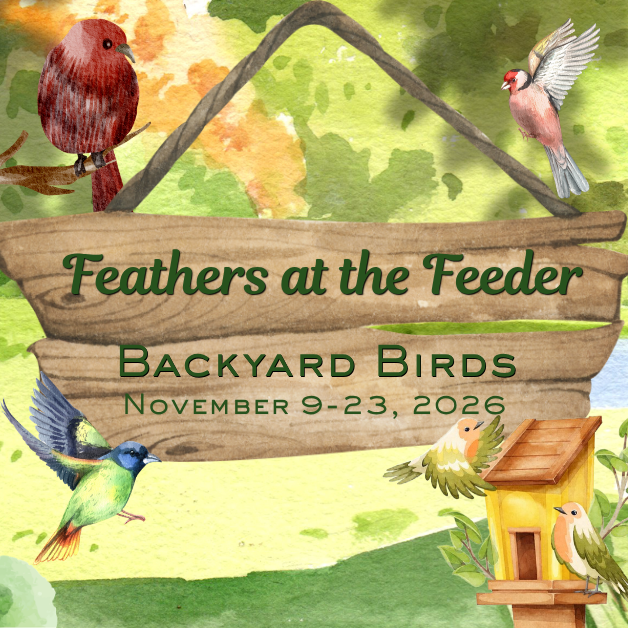 2026-11-9 Feathers at the Feeder WEBSITE.png