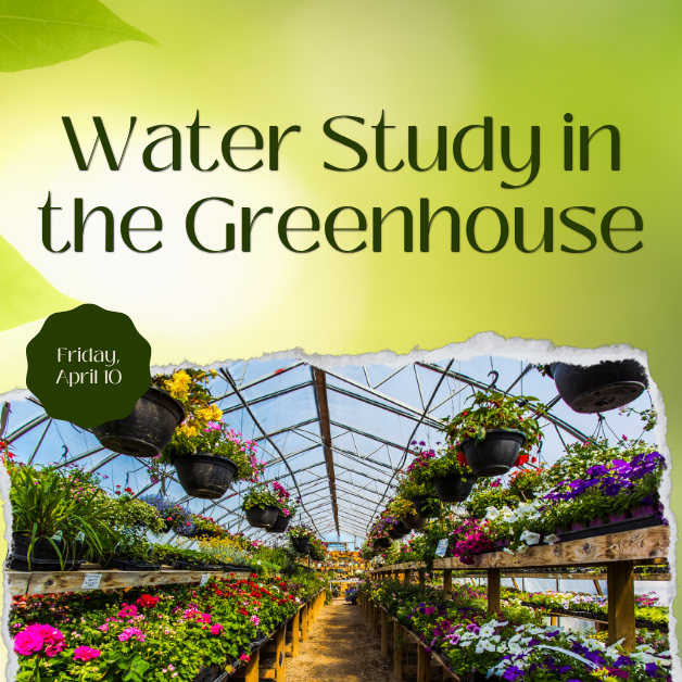 2026-4-10 Water Study in the Greenhouse WEBSITE.png