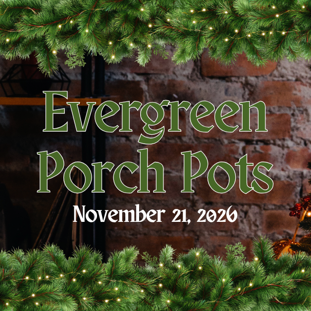 2026-11-21 Evergreen Porch Pots WEBSITE.png